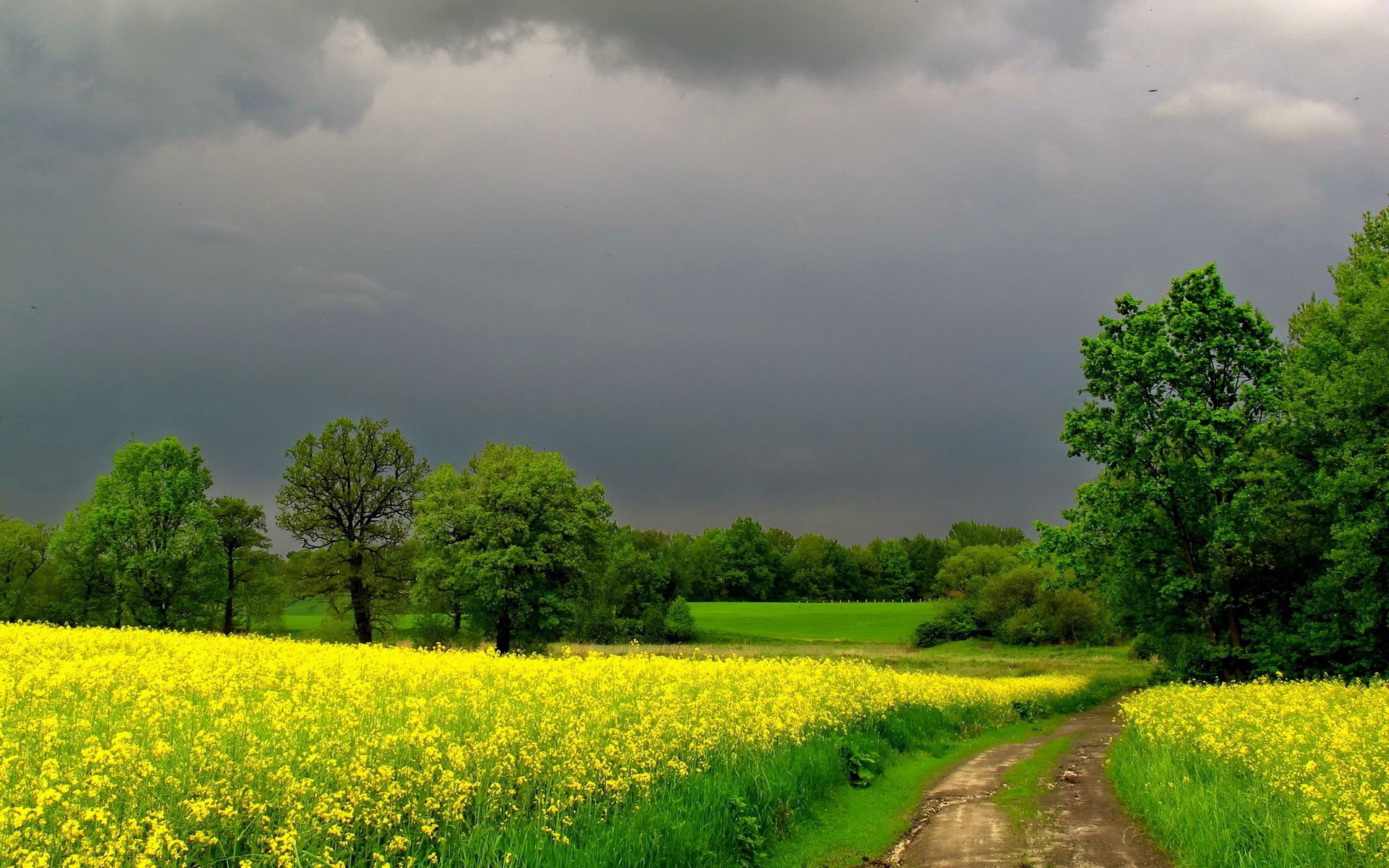 road, summer, nature, flowers, mainly cloudy, overcast download HD wallpaper
