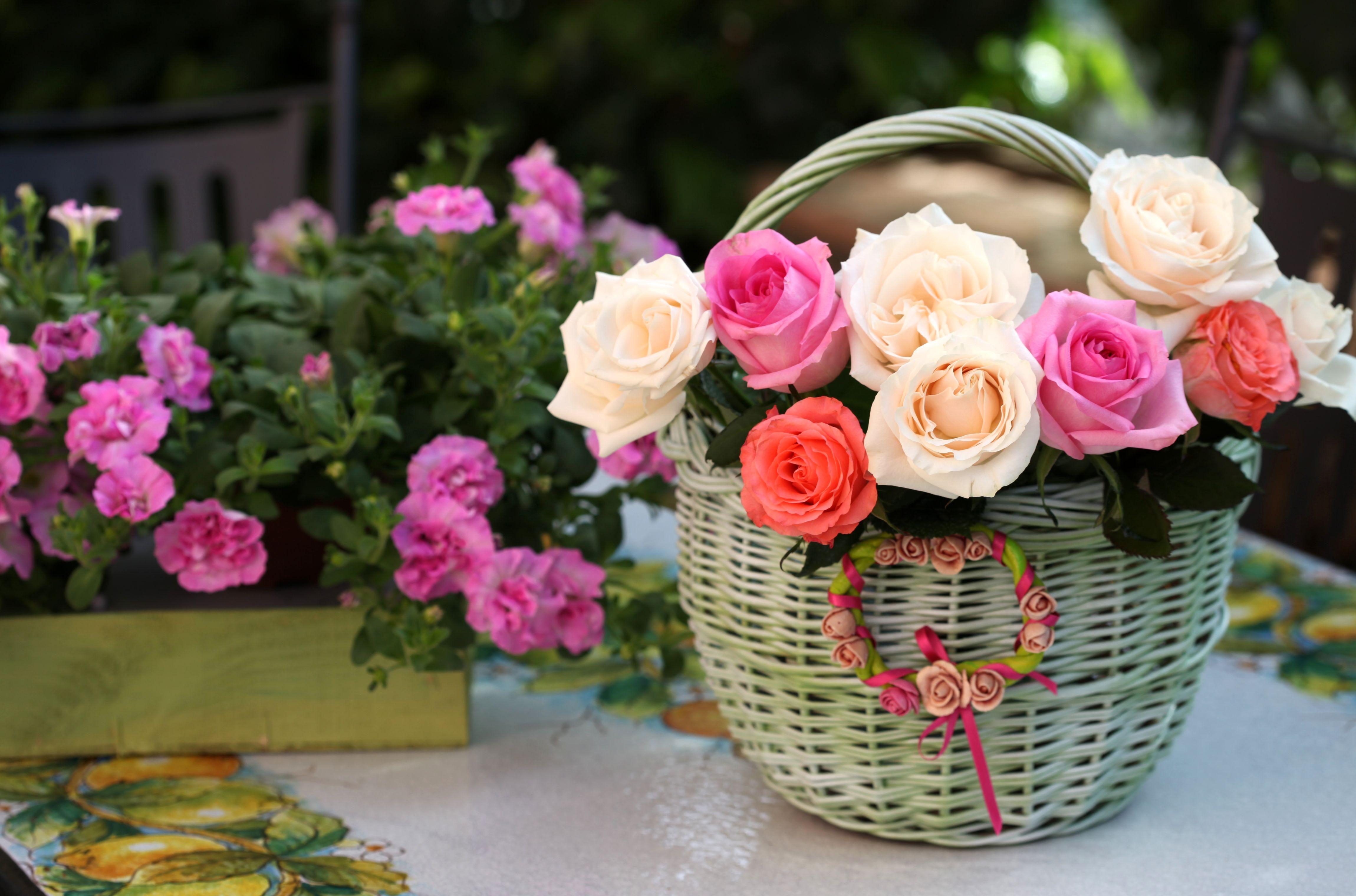 roses, composition, basket, flowers Free HD pic