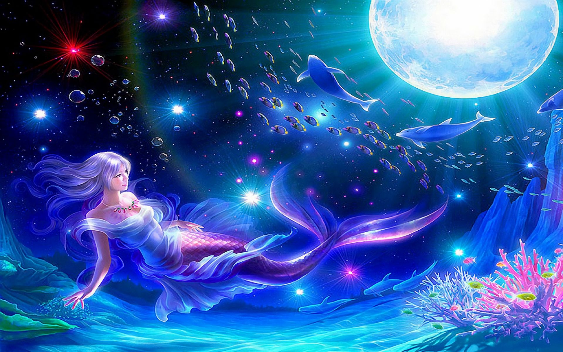 colorful, dolphin, moon, fantasy home screen for smartphone