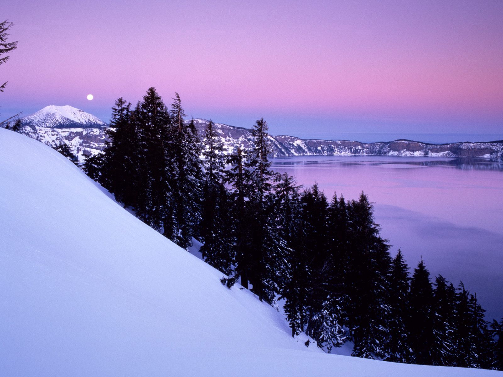 snow, winter, nature, trees, mountain, evening, slope, calmness, tranquillity