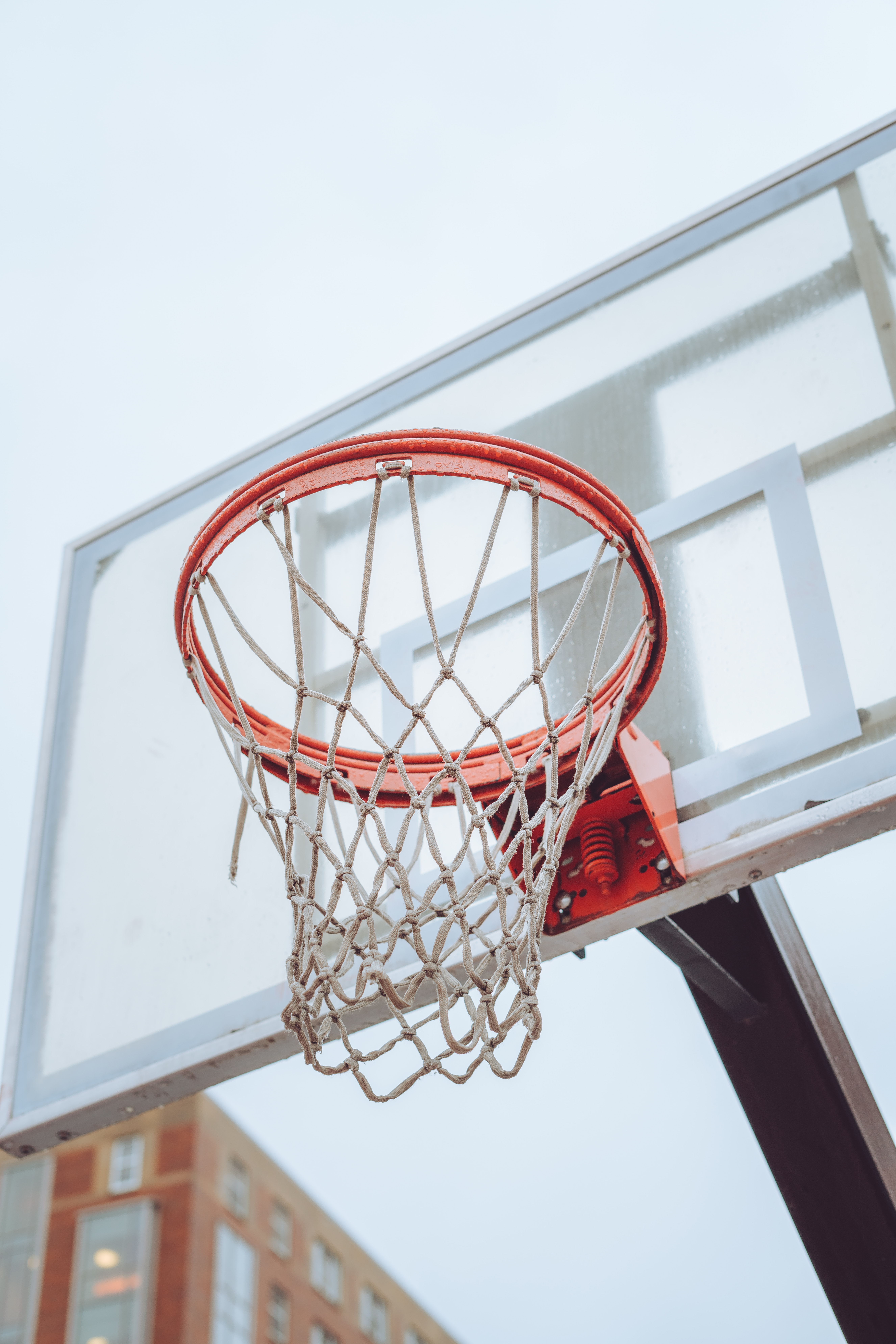 Download Phone wallpaper grid, basketball ring, sports, scute
