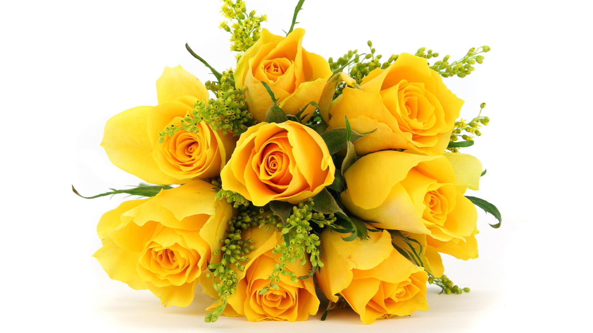 294997壁紙のダウンロードフラワーズ, 地球, 薔薇, 花束, 花, 自然, 黄色い花, 黄色いバラ-スクリーンセーバーと写真を無料で