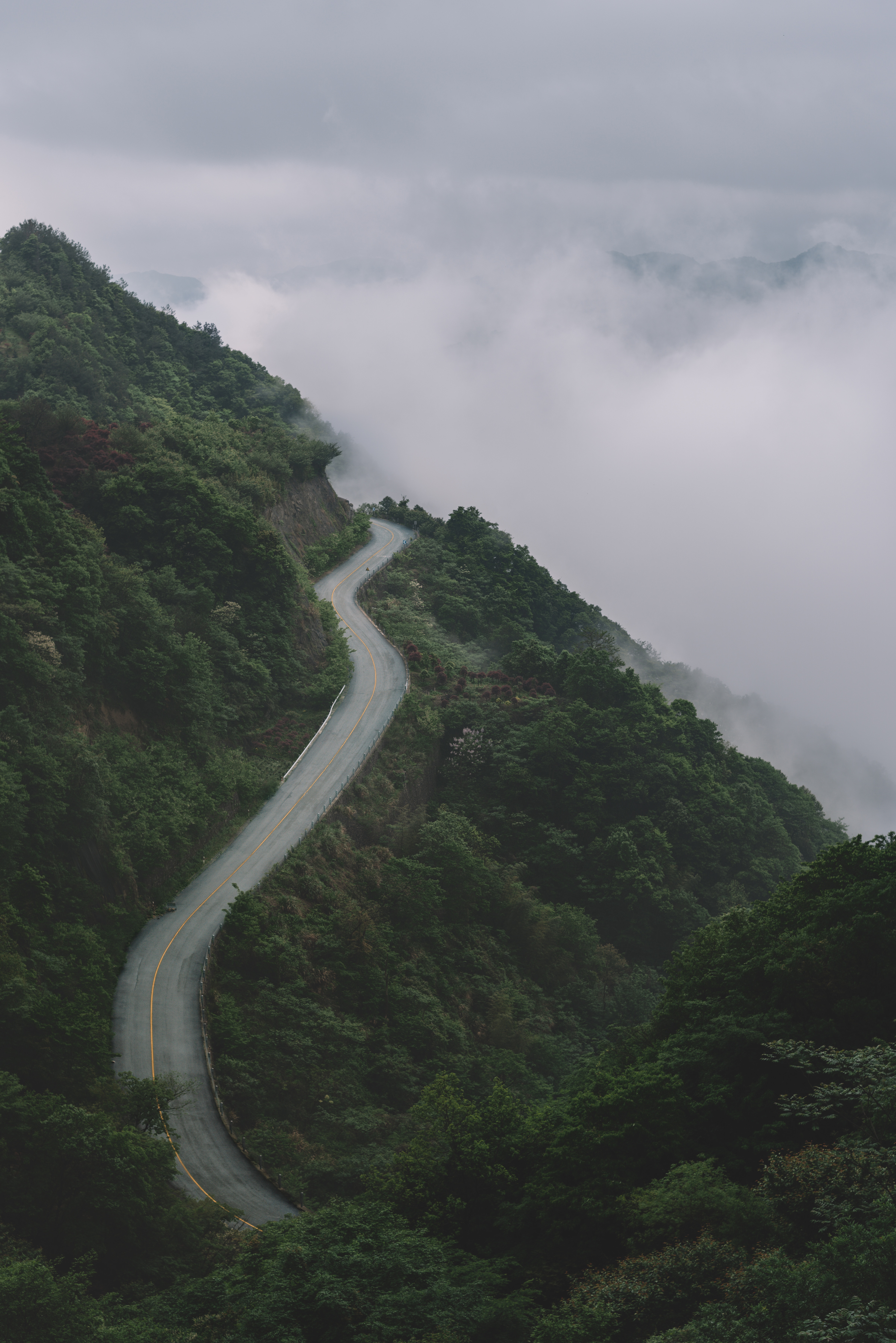 slope, nature, mountains, road, forest, fog, height