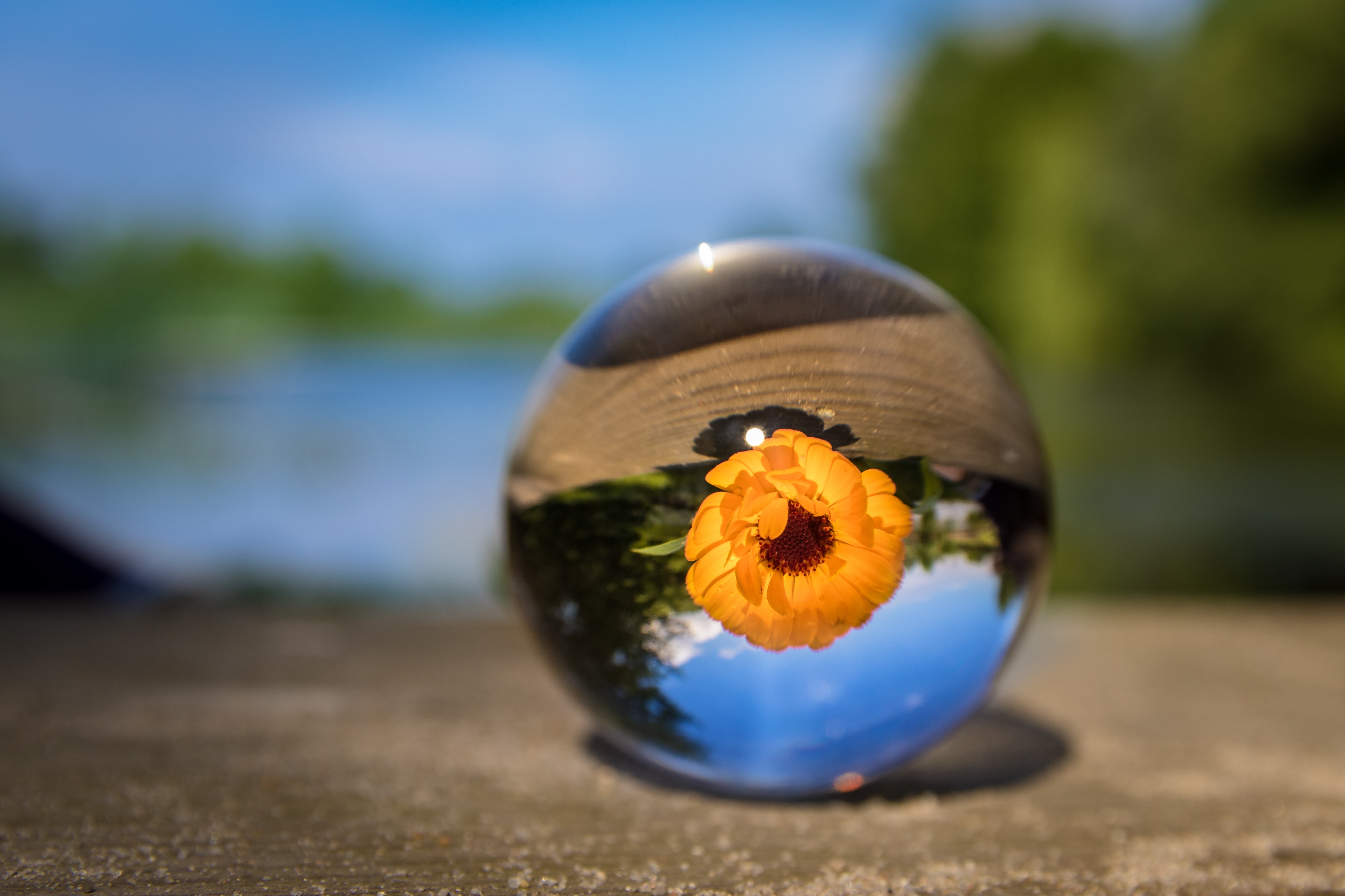 HD desktop wallpaper: Flowers, Blur, Smooth, Ball, Flower, Glass download  free picture #106997