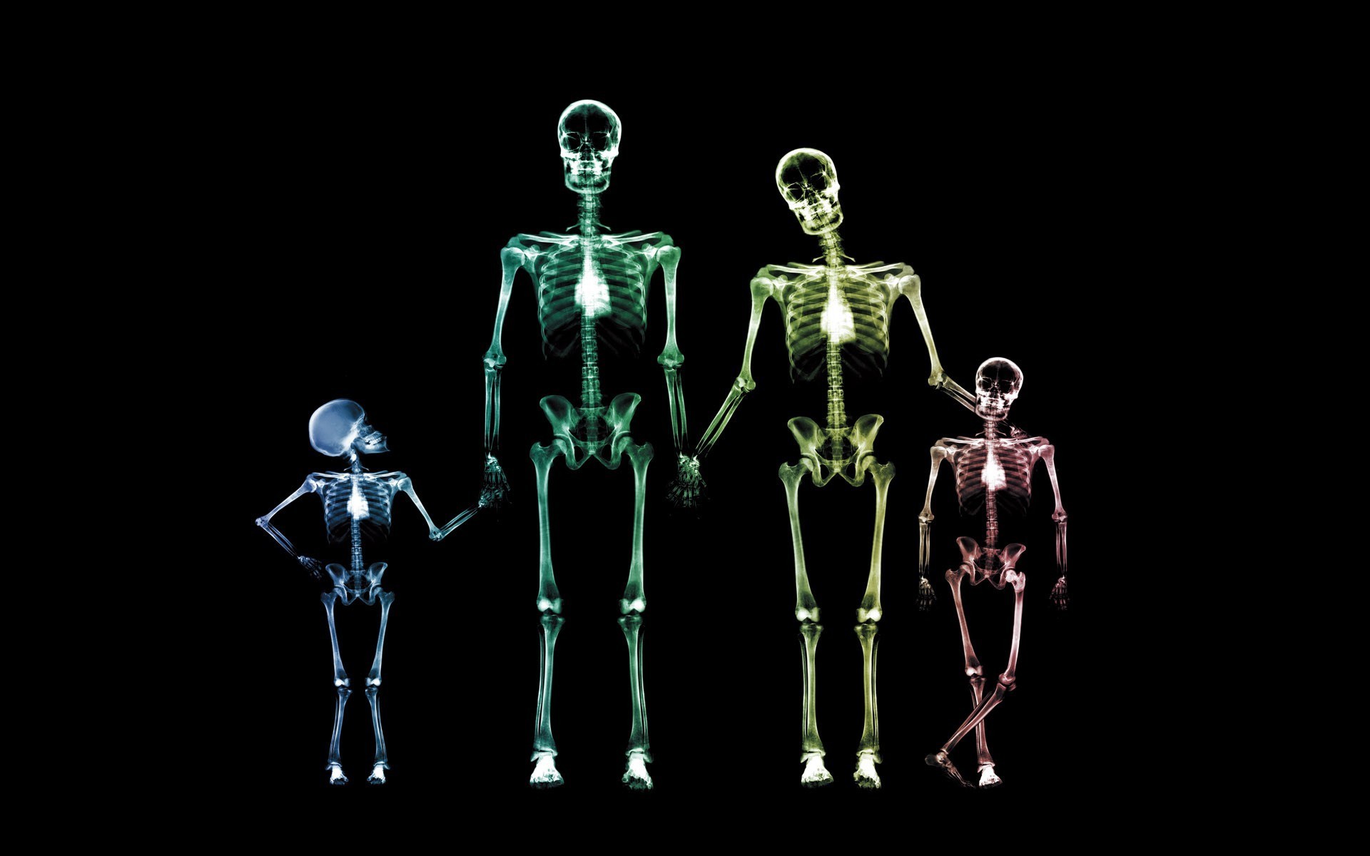 funny, background, skeletons, black