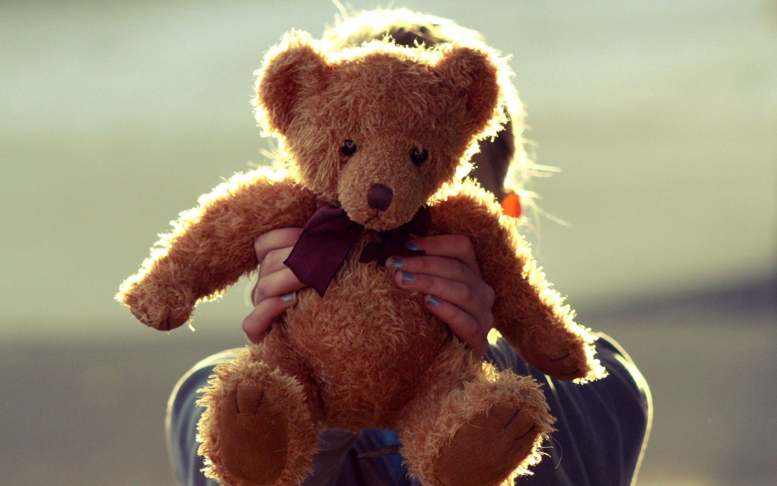 57563 download wallpaper teddy bear, miscellanea, miscellaneous, toy, hands screensavers and pictures for free