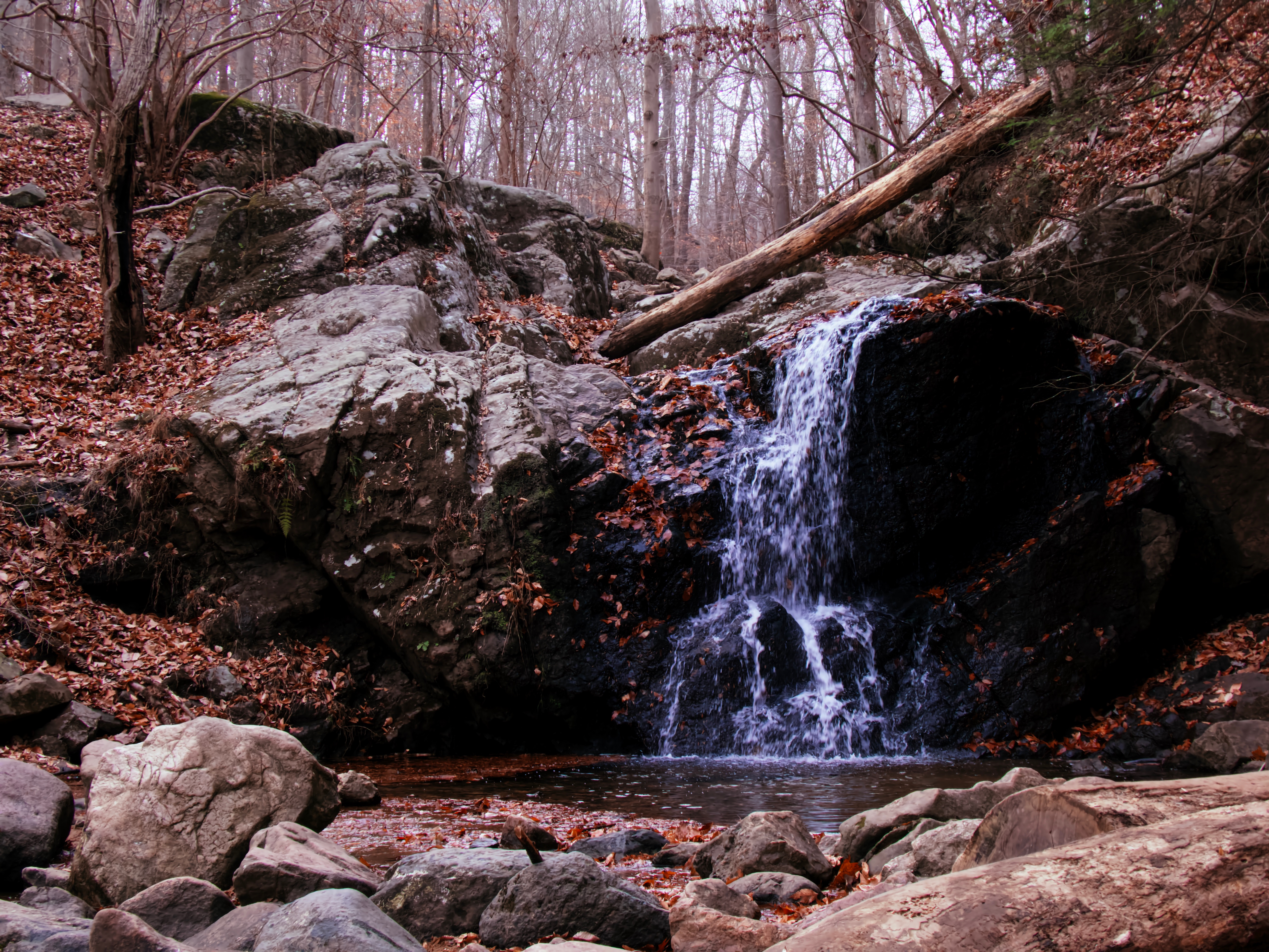 nature, autumn, rock, waterfall, creek, brook 1080p
