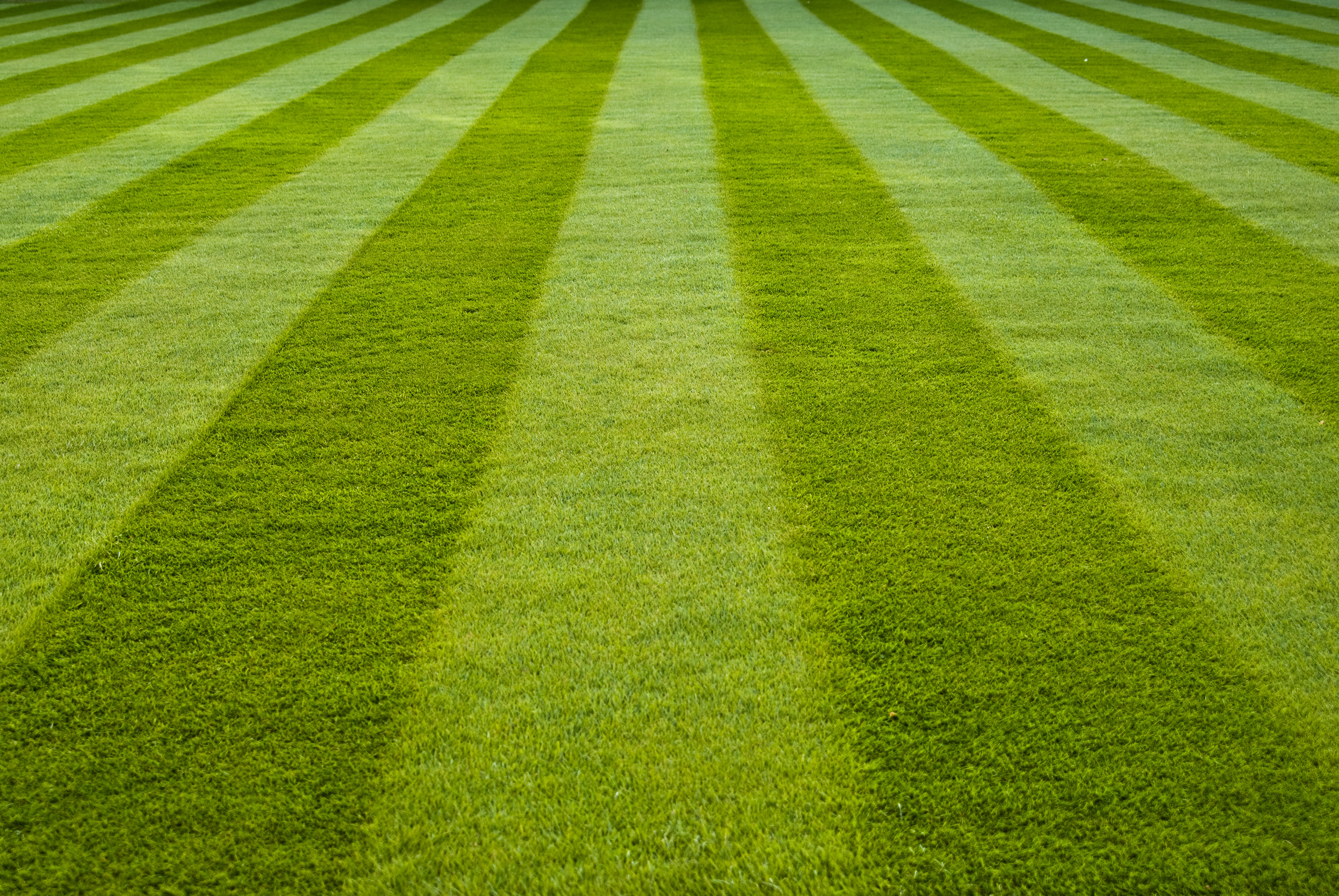 Стрижка травы на поле для гольфа