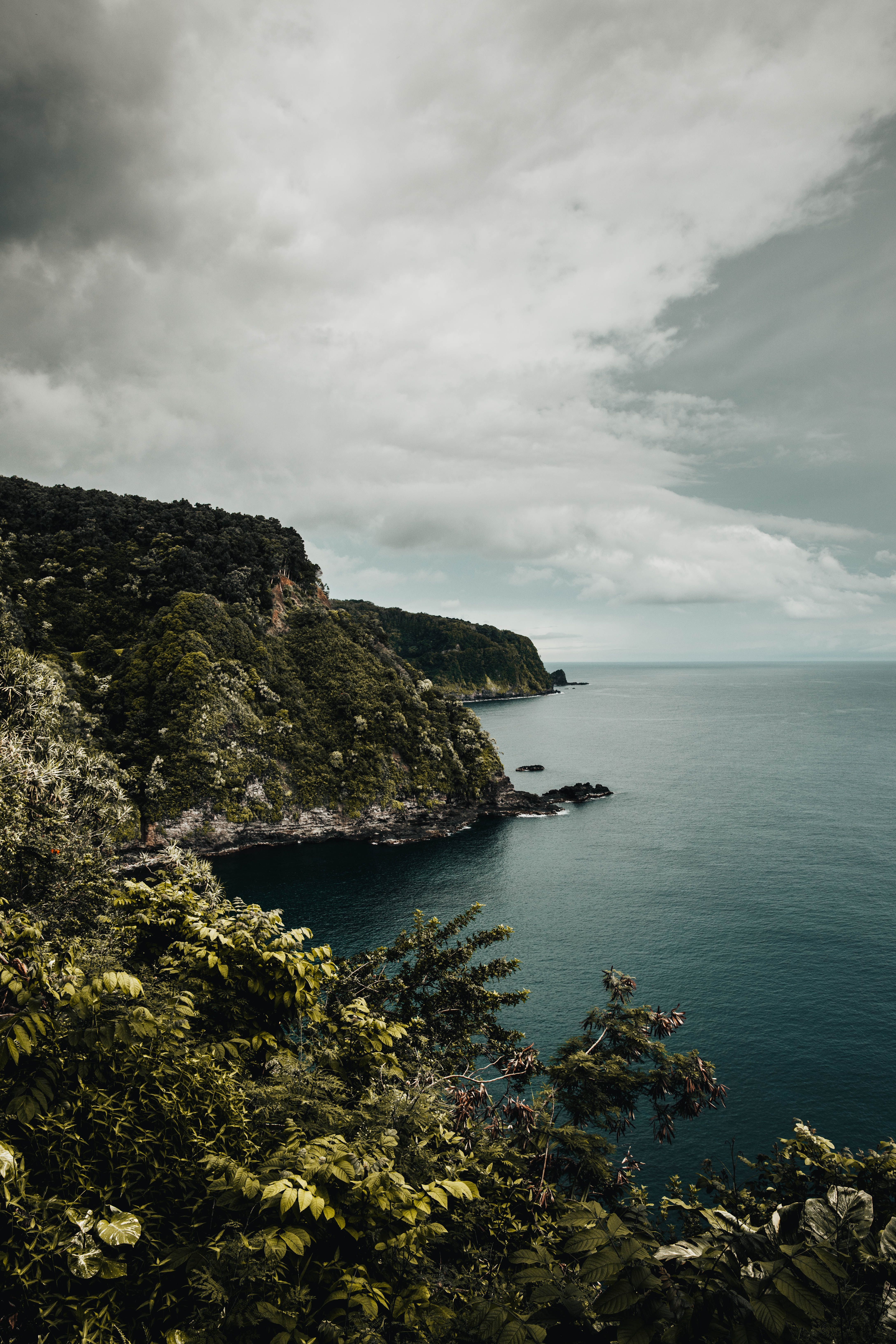 Phone Background rocks, sea, cliff, trees
