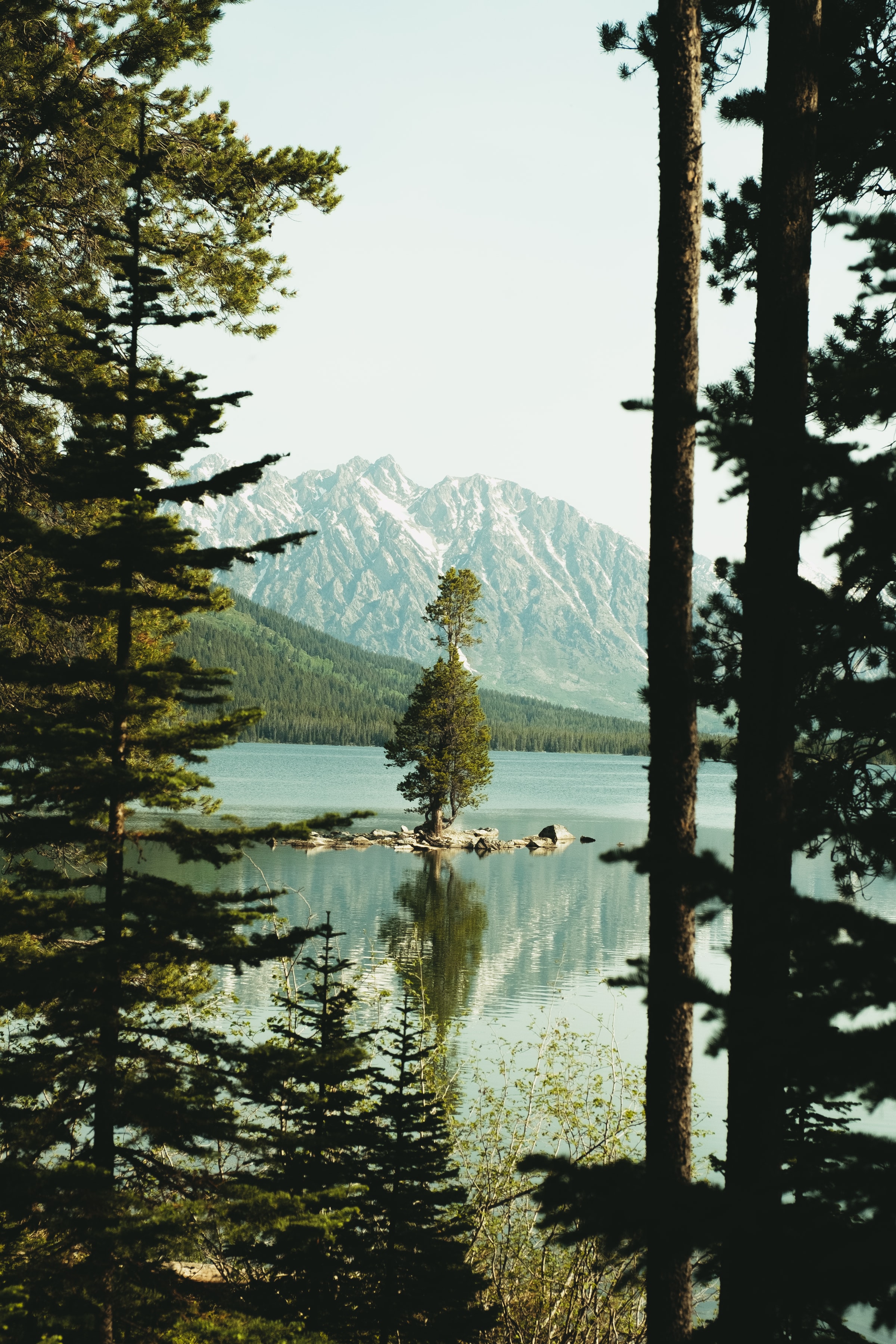 nature, mountains, lake, spruce, fir, slope download HD wallpaper