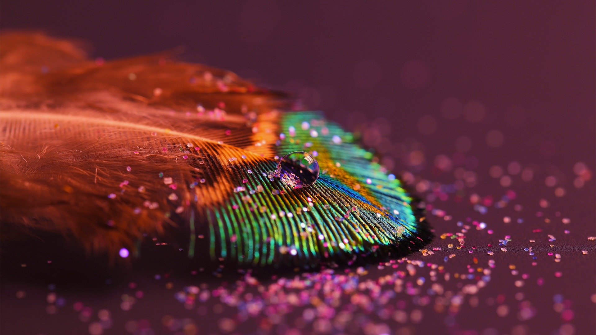 objects, feather, red Full HD