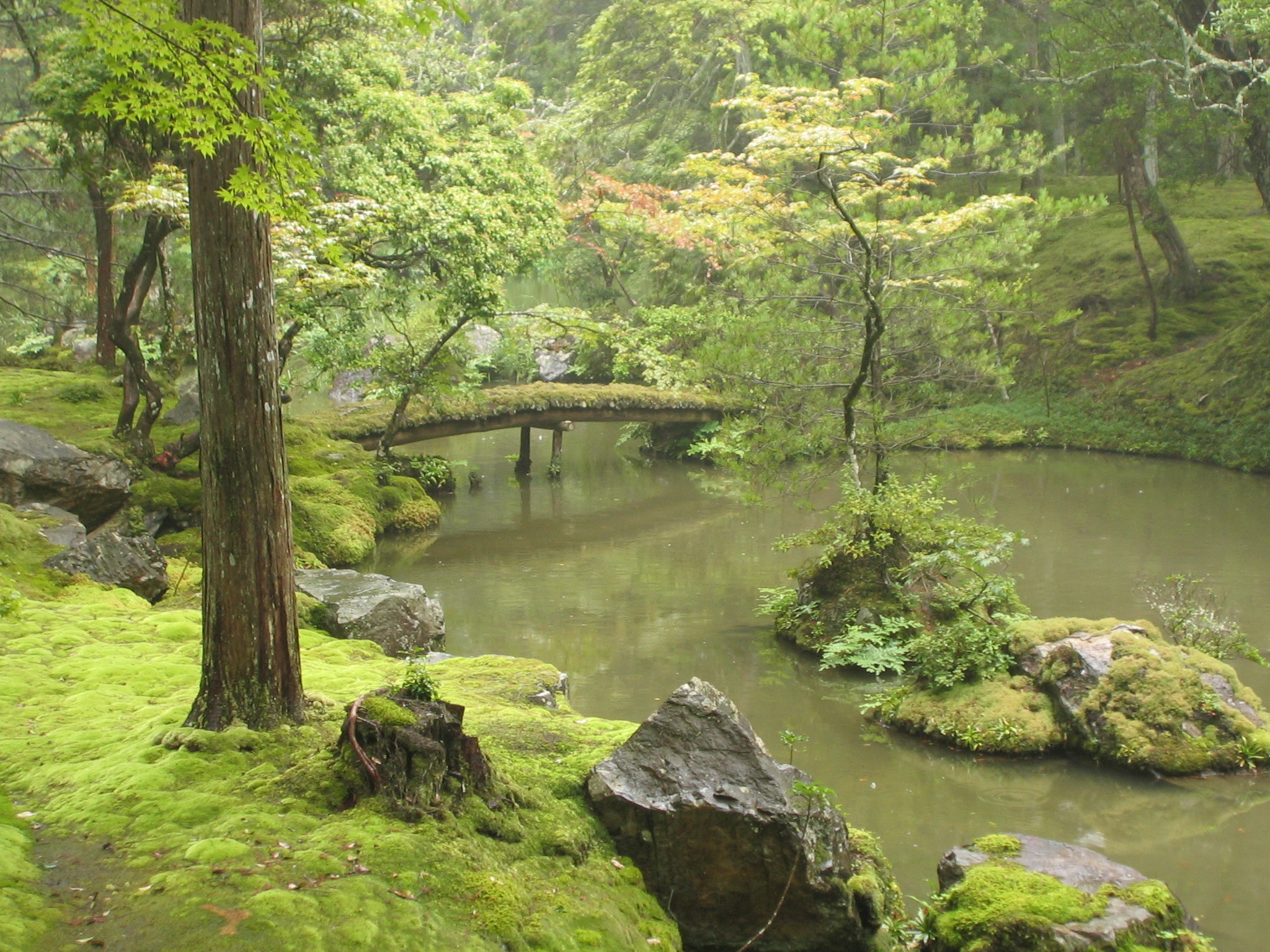 garden, man made, bridge, moss, stream, tree Full HD