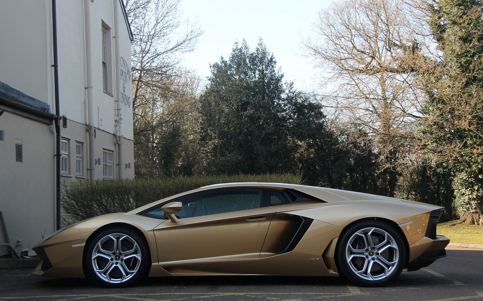 93814 Hintergrundbilder und Lamborghini Bilder auf dem Desktop. Laden Sie lamborghini, cars, schwarz, gold, golden, profil, festplatten, laufwerke, aventador Bildschirmschoner kostenlos auf den PC herunter