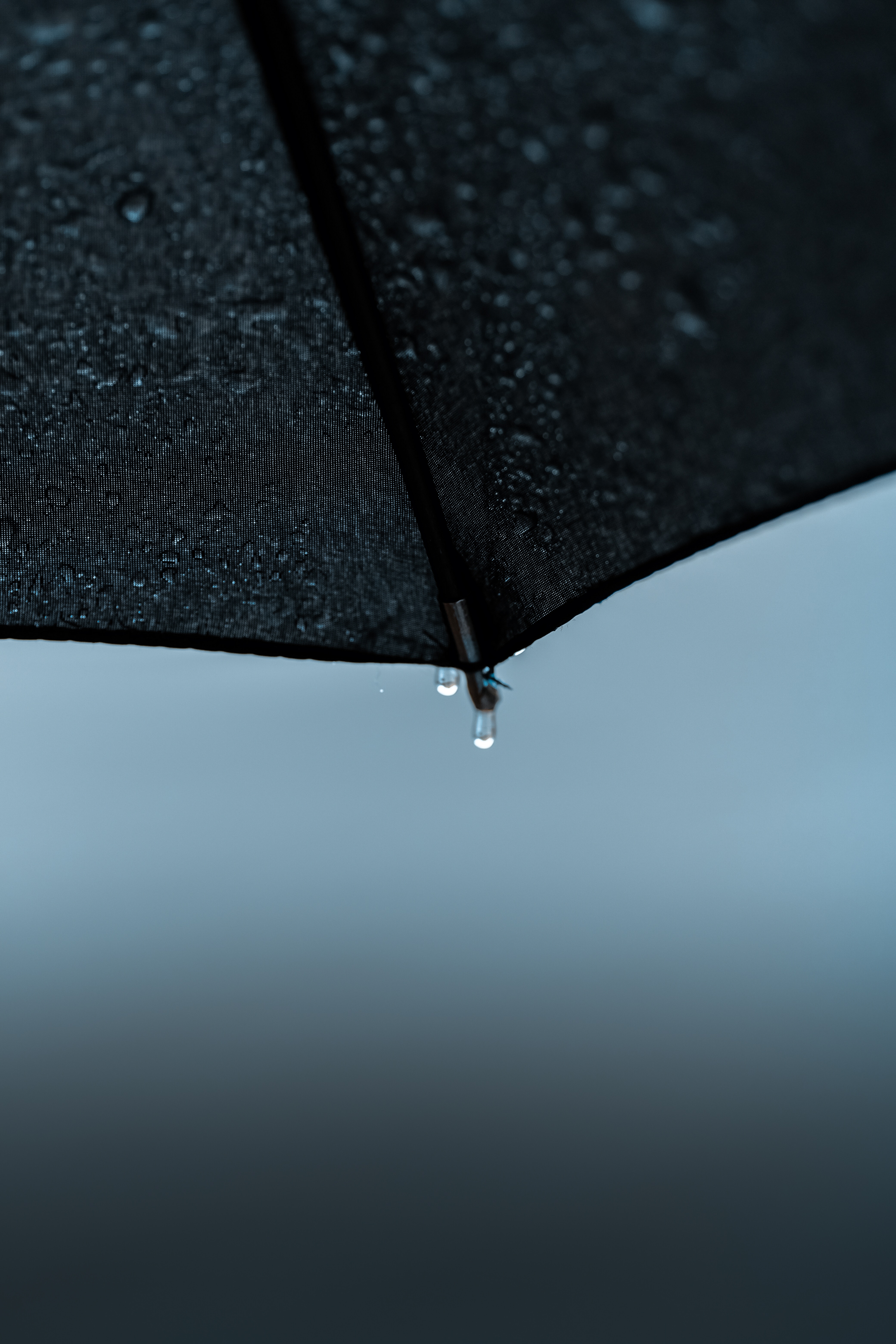116492 Hintergrundbilder und Regenschirm Bilder auf dem Desktop. Laden Sie drops, nass, regen, sonstige Bildschirmschoner kostenlos auf den PC herunter