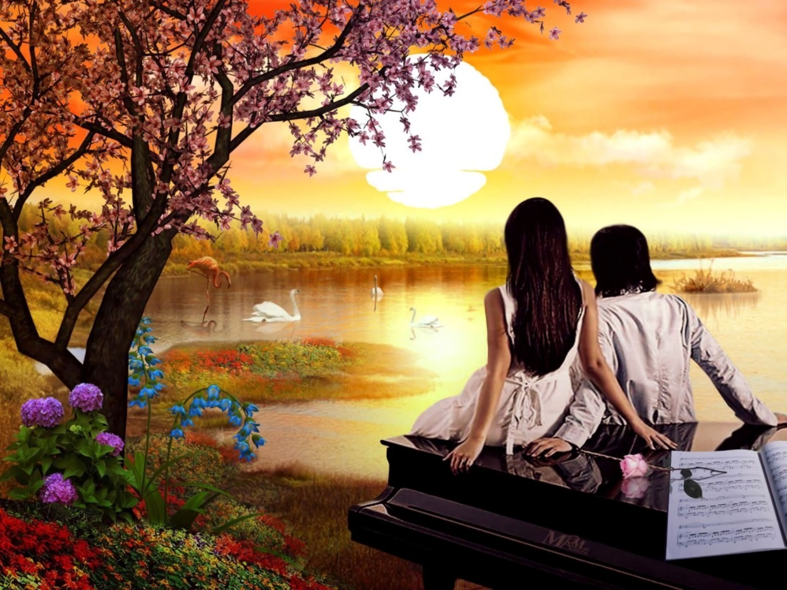 love, flower, artistic, sunset, pond wallpaper for mobile