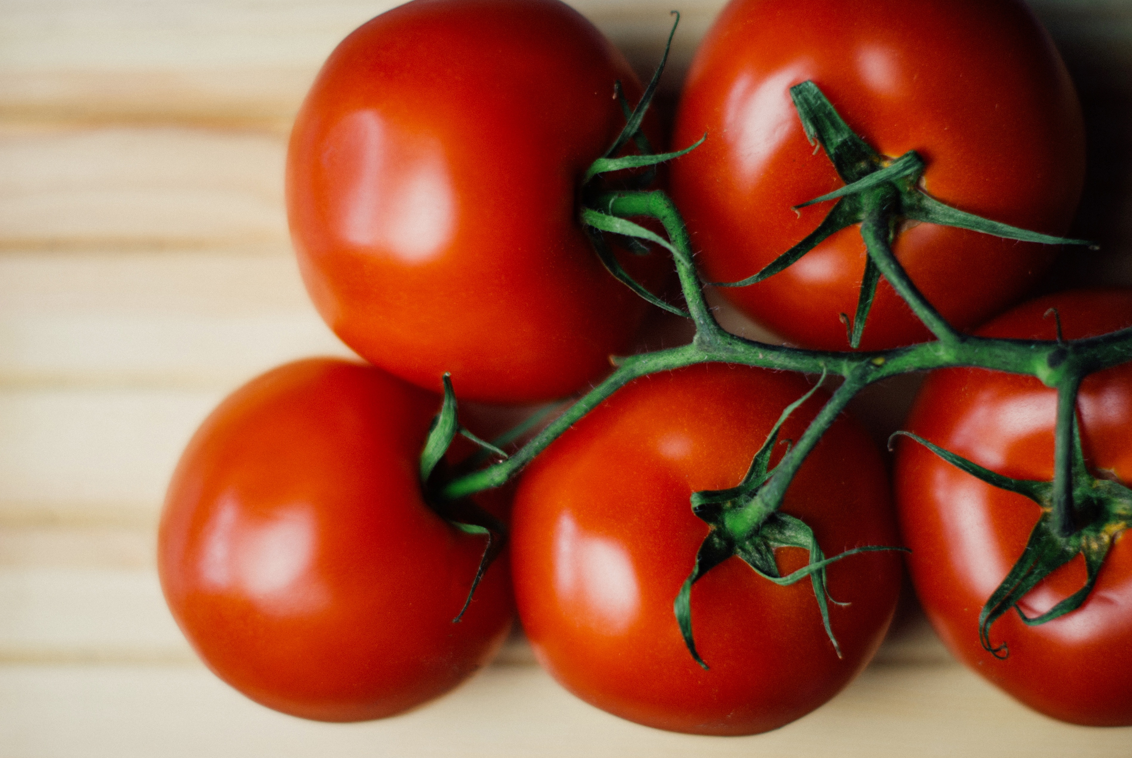 80355 Bildschirmschoner und Hintergrundbilder Tomaten auf Ihrem Telefon. Laden Sie gemüse, vitamine, lebensmittel, zweig Bilder kostenlos herunter