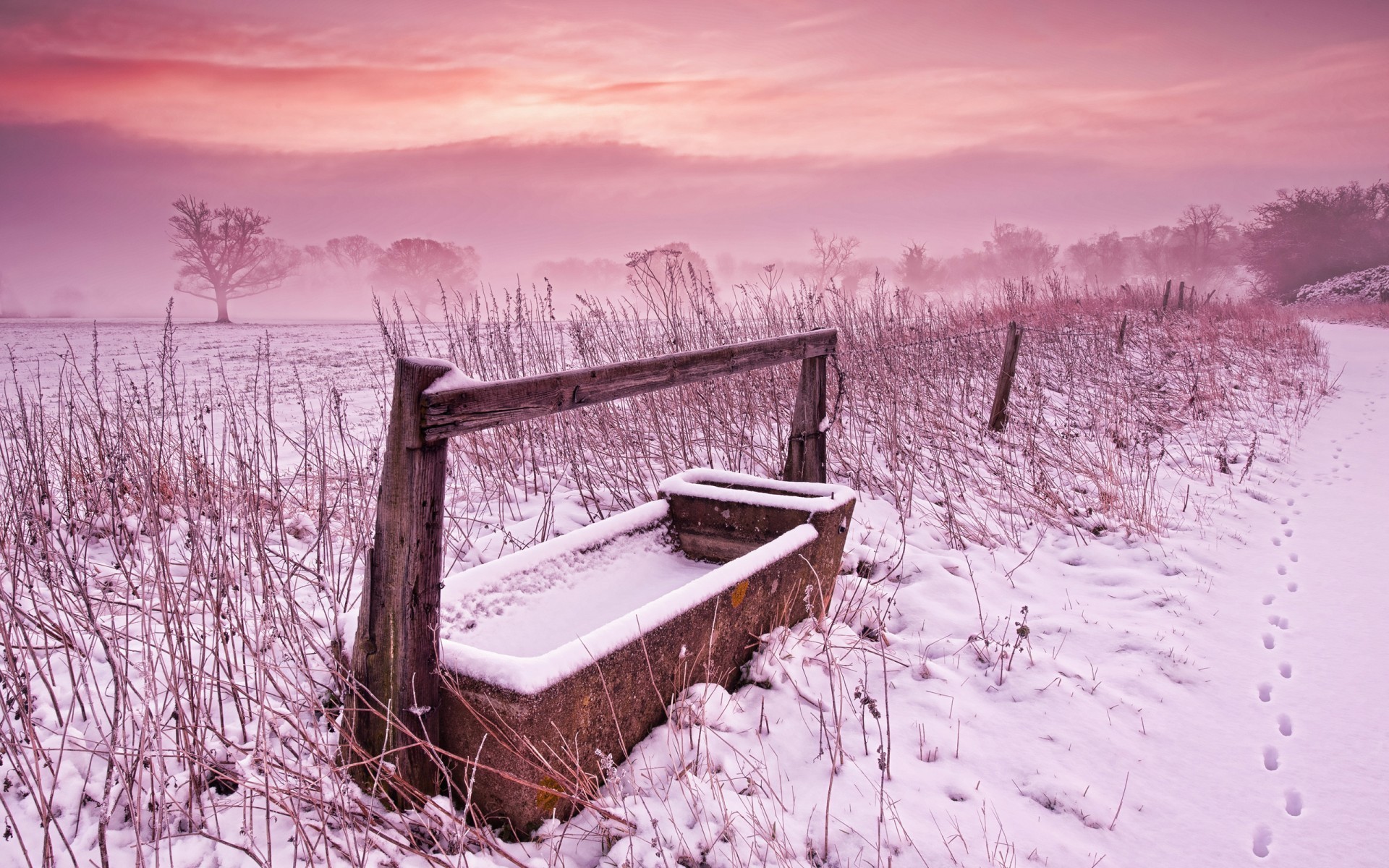 Laden Sie das Landschaft, Winter, Sunset, Felder-Bild kostenlos auf Ihren PC-Desktop herunter