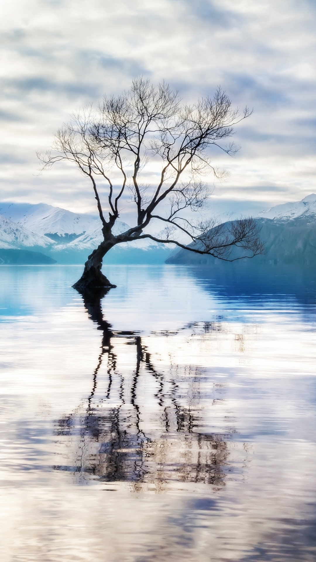 earth, lake wānaka, reflection, tree, lonely tree, mountain, landscape, lake, lakes 32K
