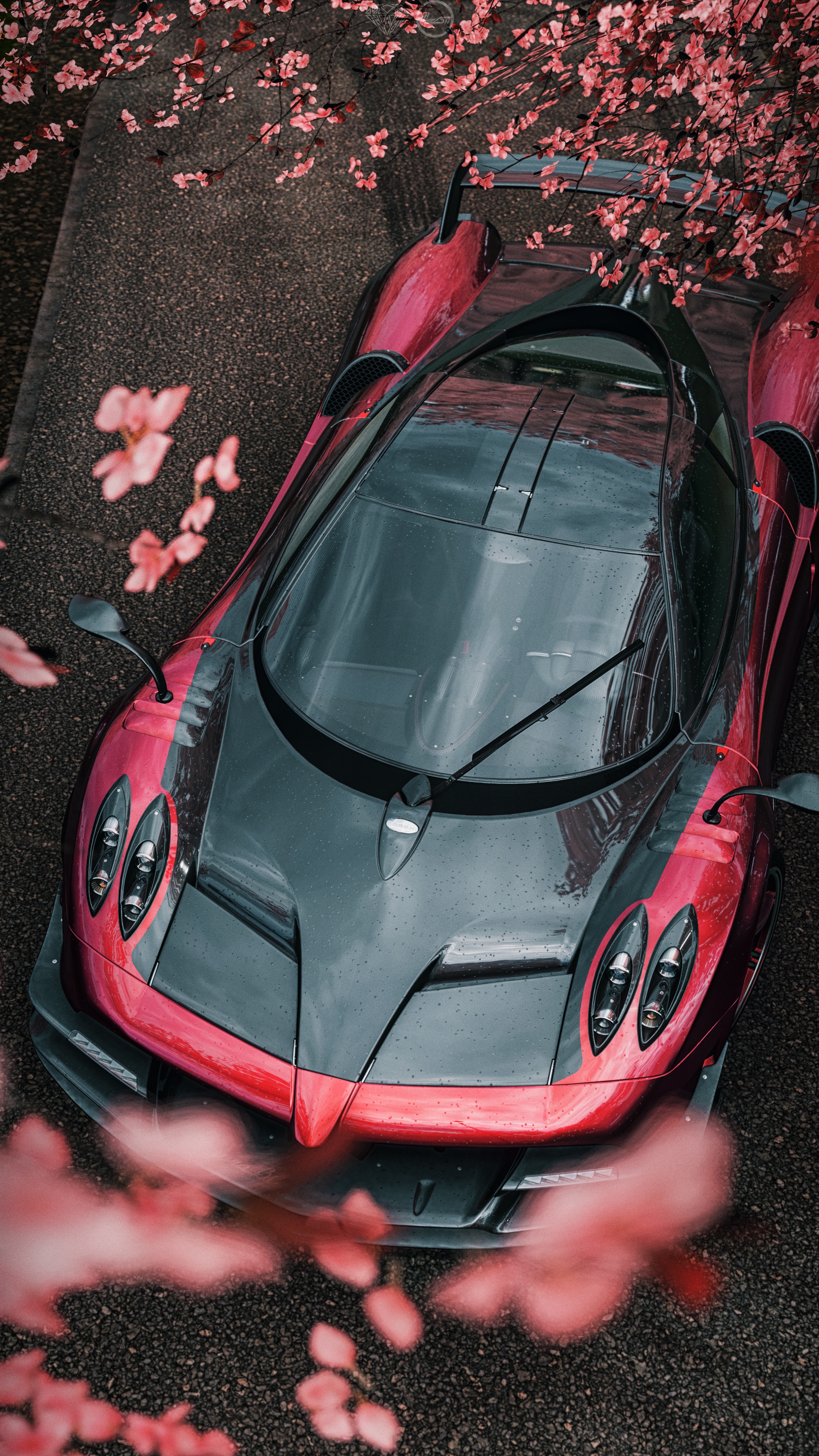 vertical wallpaper sports car, cars, sports, flowers, view from above, car, machine