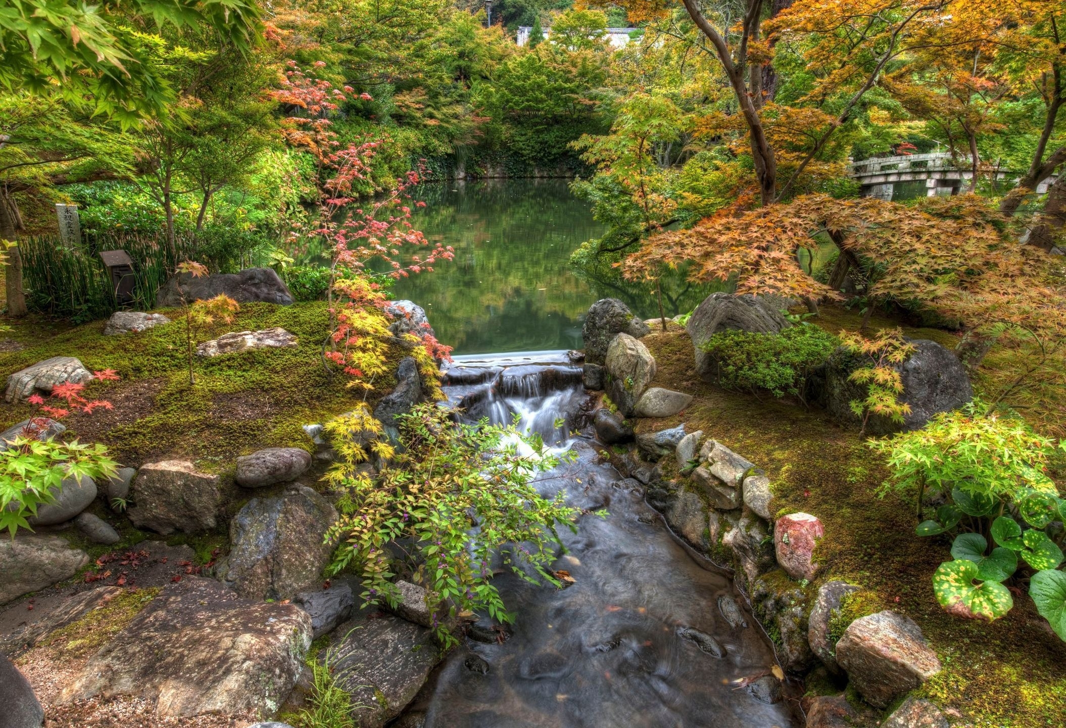 garden, nature, rivers, stones, vegetation, moss, pond, from above, above, threshold HD wallpaper