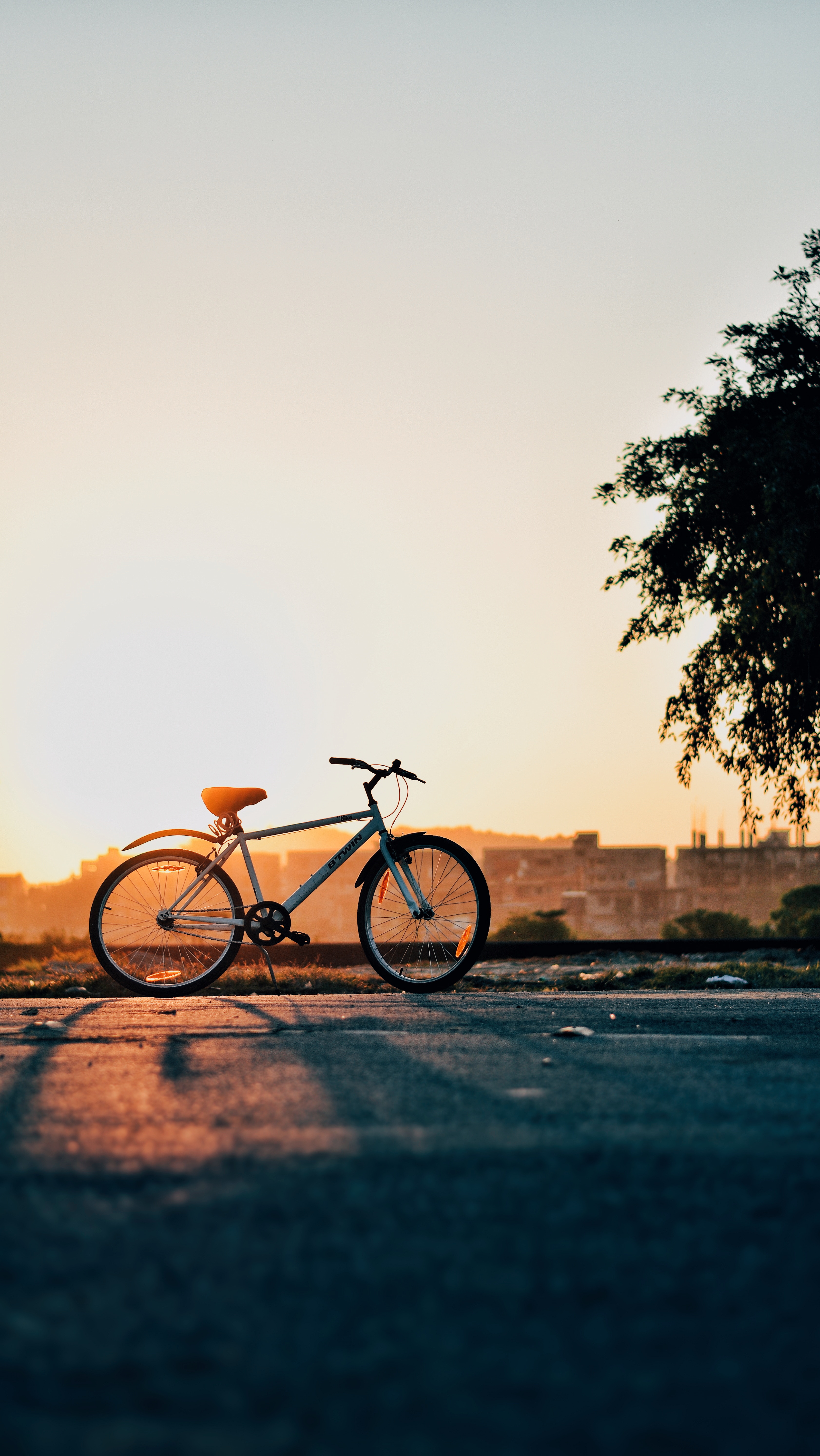 bicycle, horizon, nature, sunset, sky High Definition image