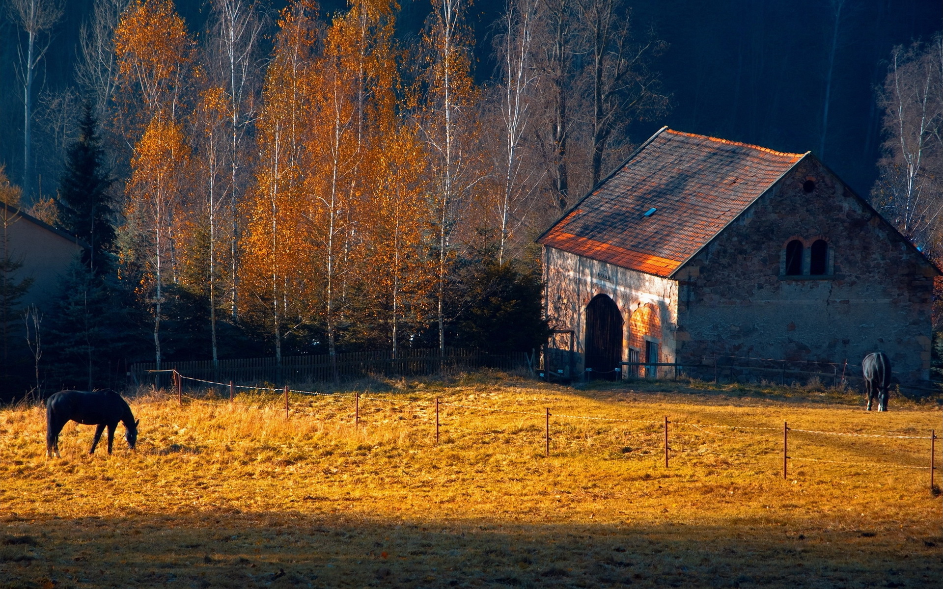 Осень в деревне