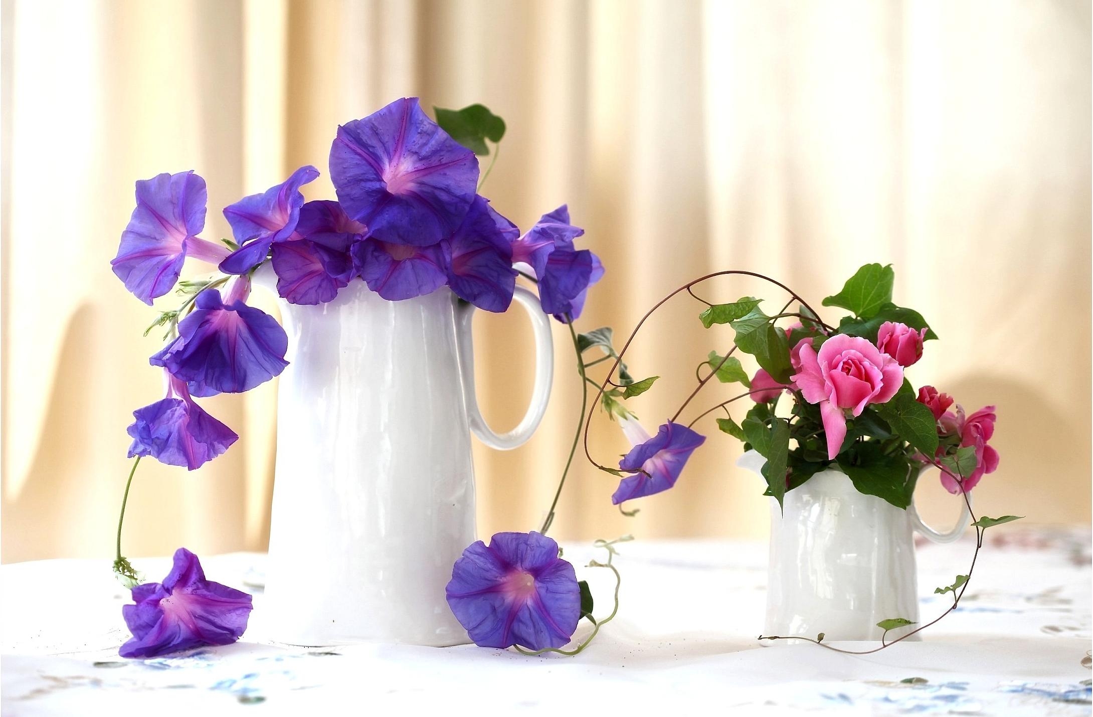 handsomely, morning glory, roses, flowers, composition, it's beautiful, jugs, ipme Full HD