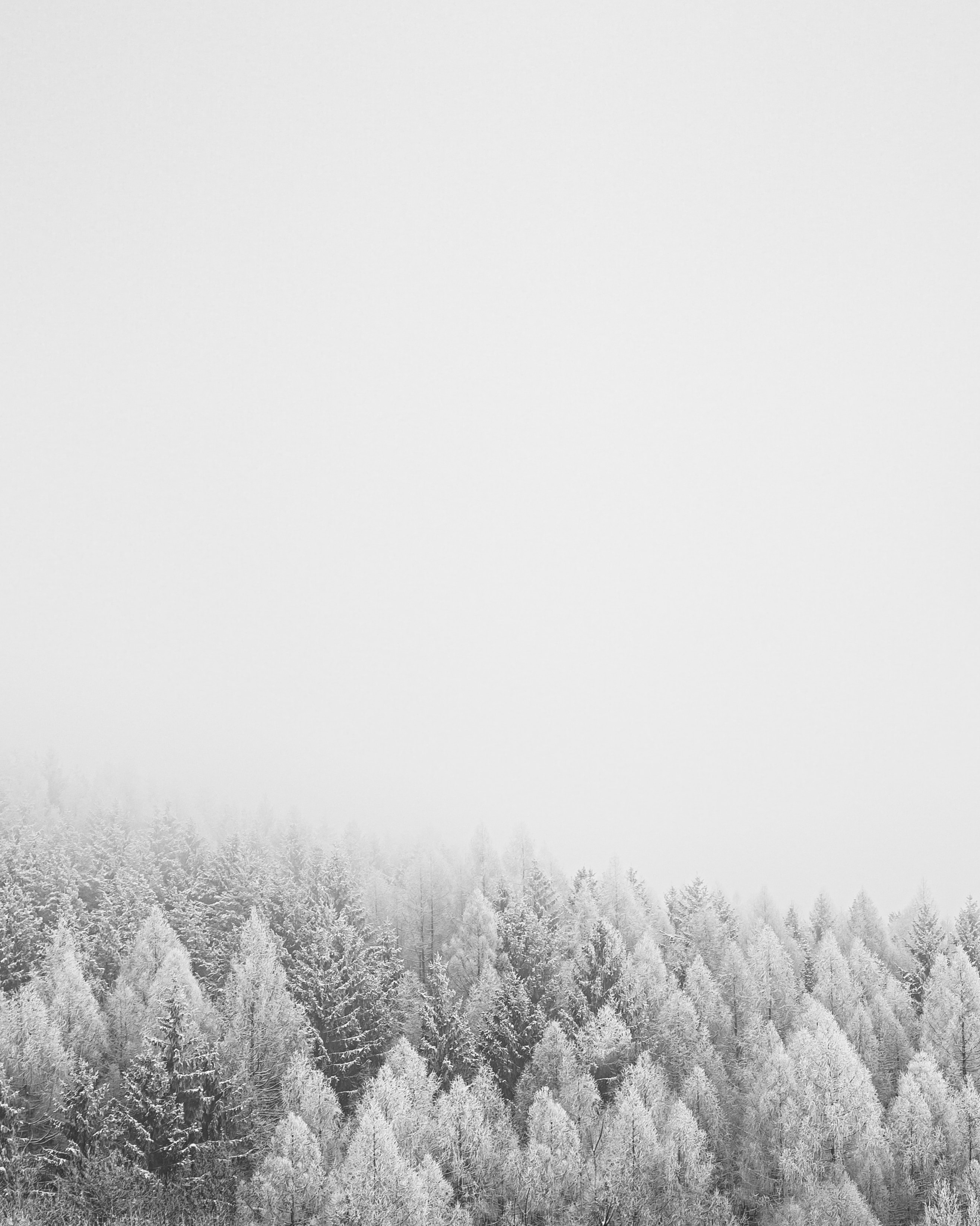 148460壁紙のダウンロード冬, 自然, 木, 雪, 森林, 森-スクリーンセーバーと写真を無料で