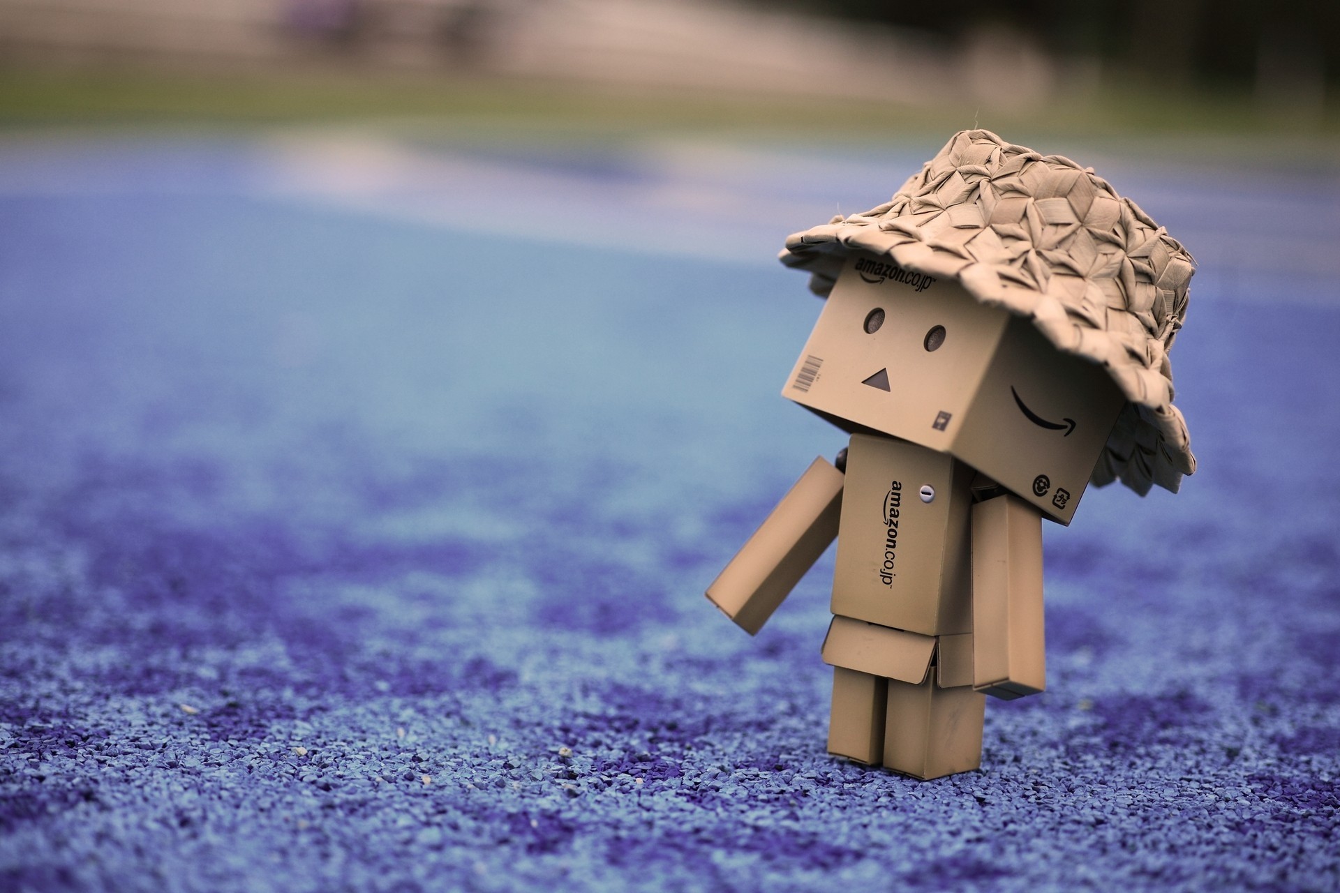 stroll, cardboard robot, miscellanea, miscellaneous, danbo, hat