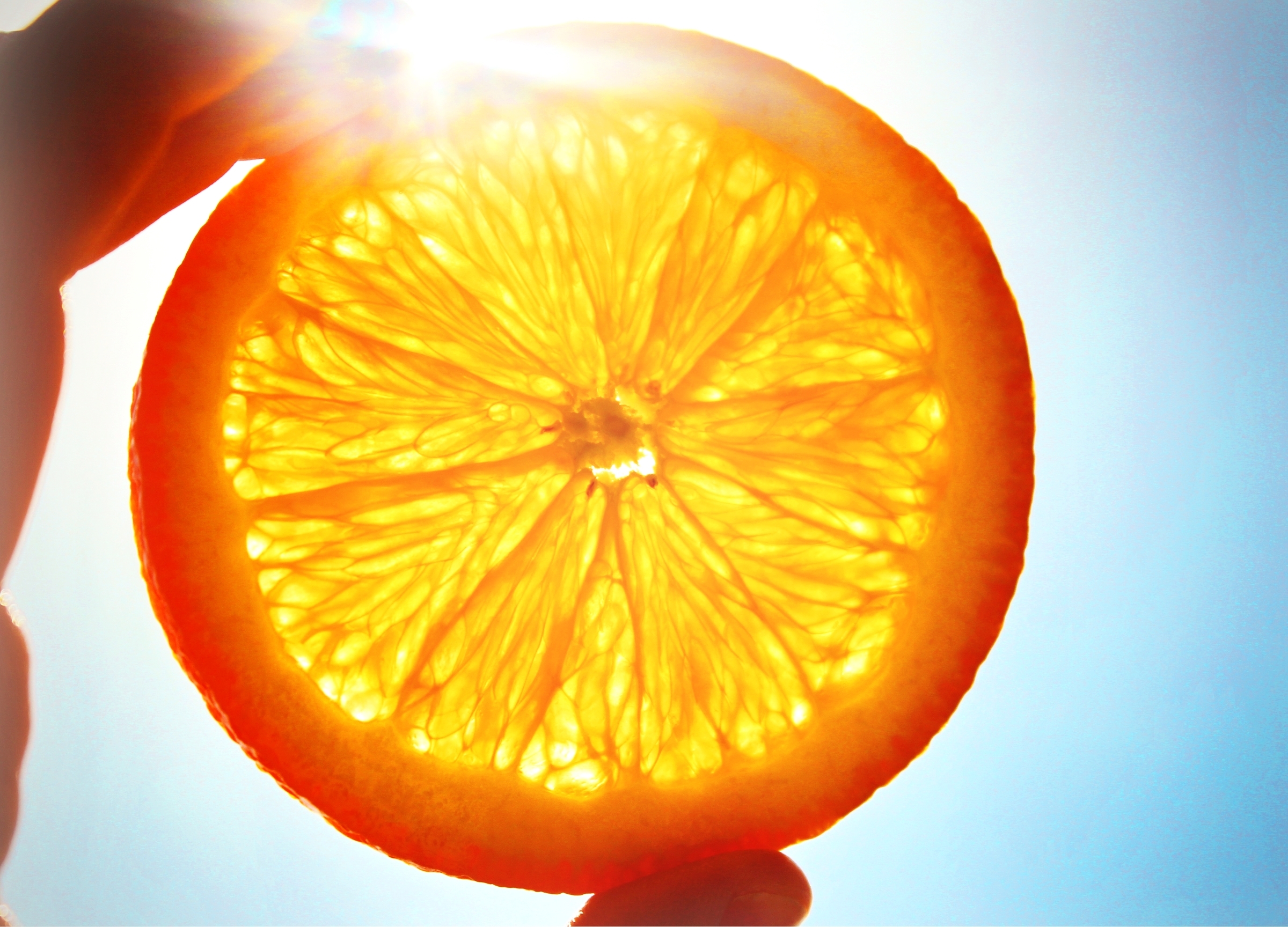 Laden Sie das Obst, Lebensmittel, Hintergrund, Sun, Oranges-Bild kostenlos auf Ihren PC-Desktop herunter