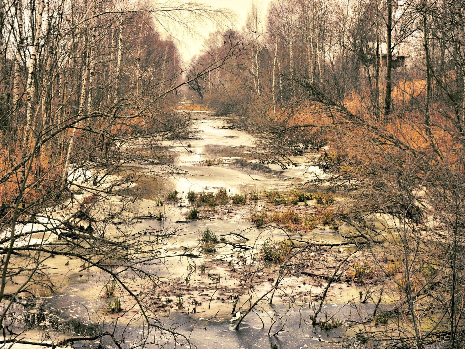 Ice autumn, trees, rivers, nature Lock Screen