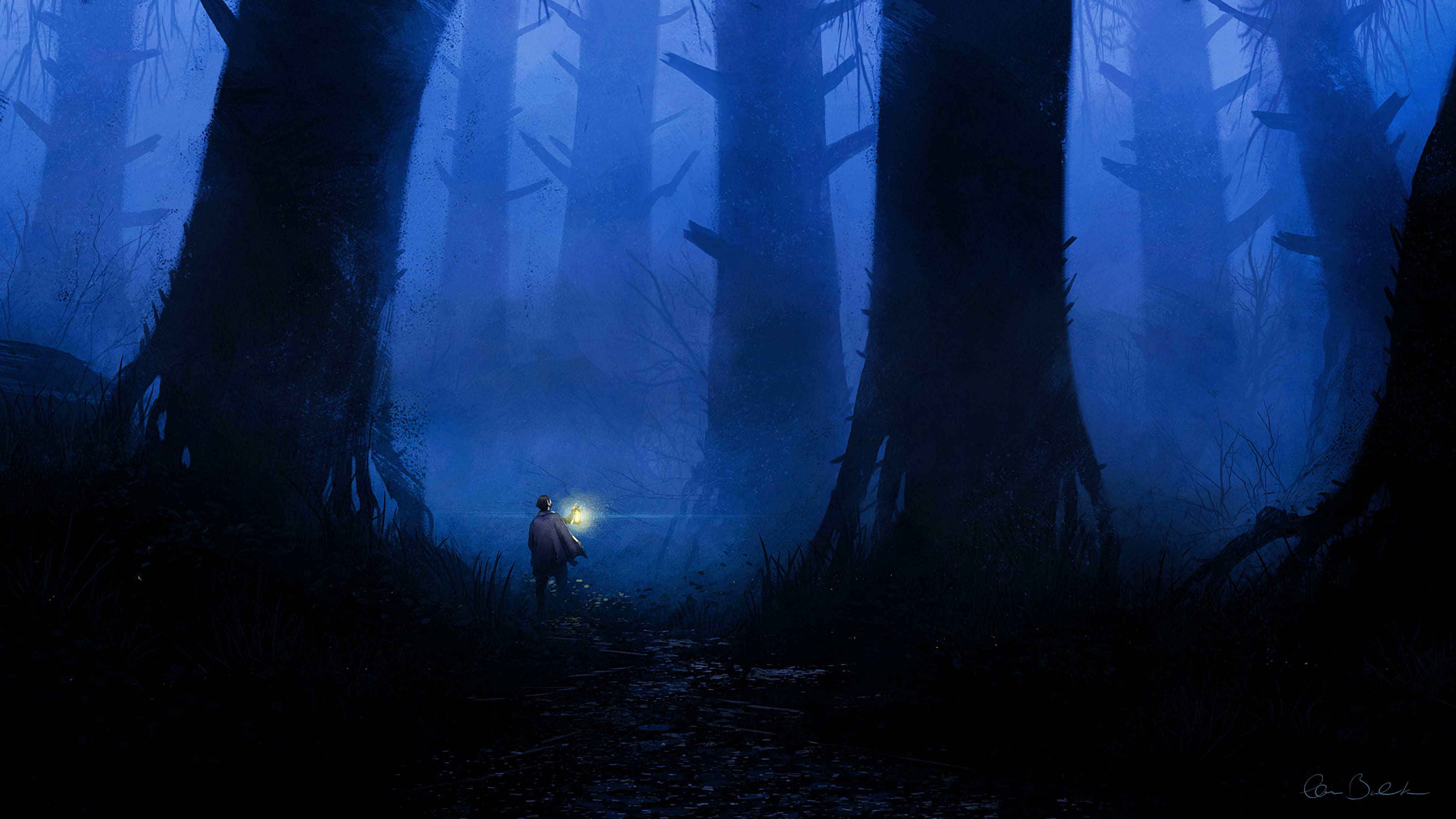 Laden Sie das Bäume, Kunst, Wald, Nebel, Lampe, Laterne, Einsamkeit-Bild kostenlos auf Ihren PC-Desktop herunter