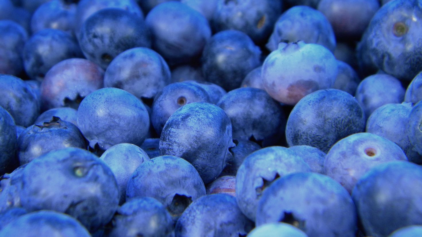 Синий фрукт