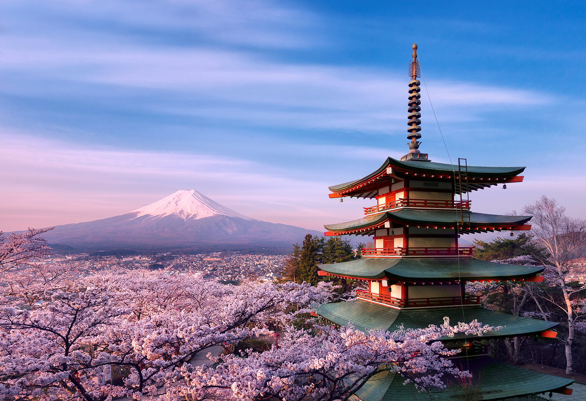 435358壁紙のダウンロード地球, 富士山, 花, 日本, 光, パゴダ, ピンク, さくら, 火山-スクリーンセーバーと写真を無料で