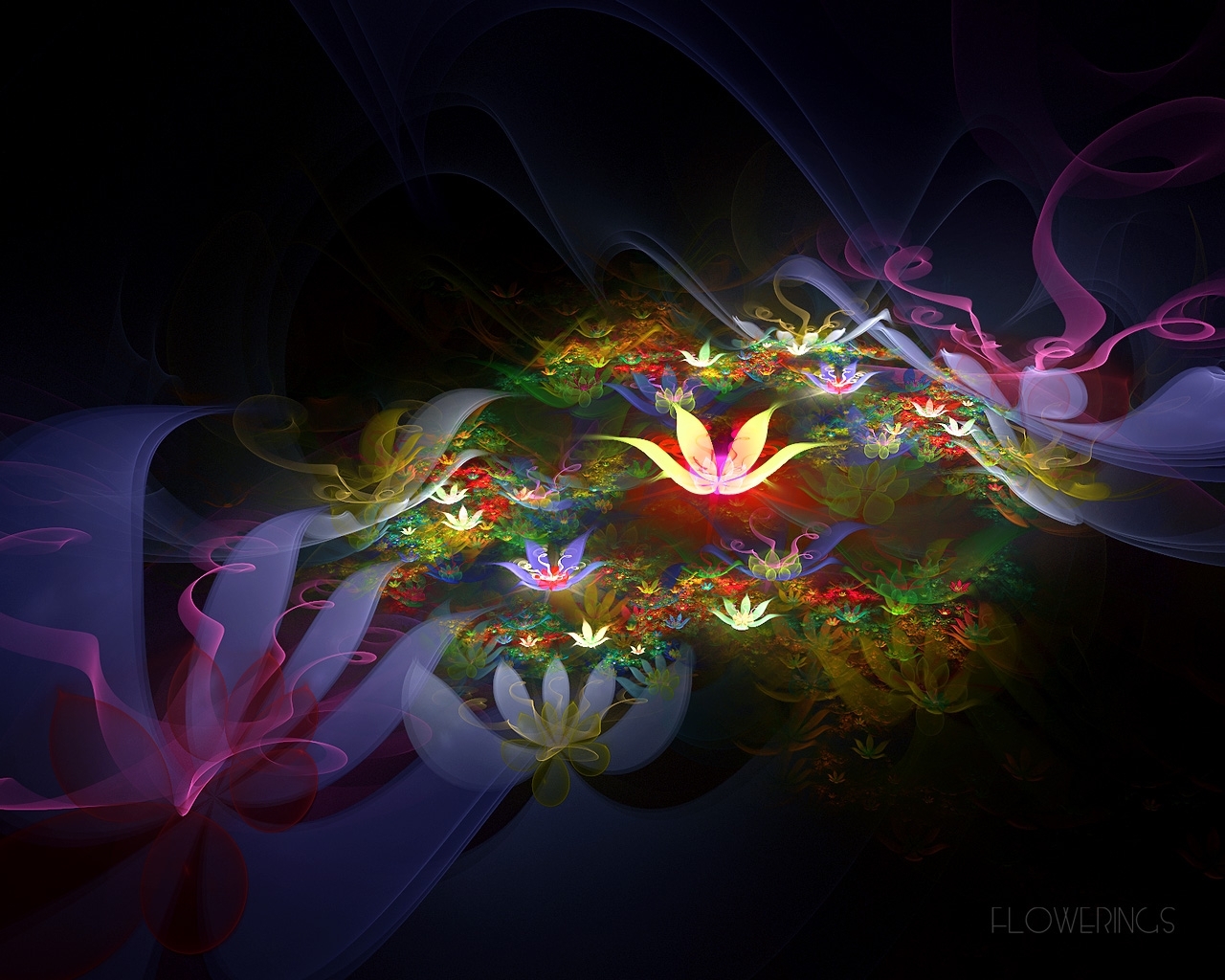 Flowers abstract, background, black 4k Wallpaper