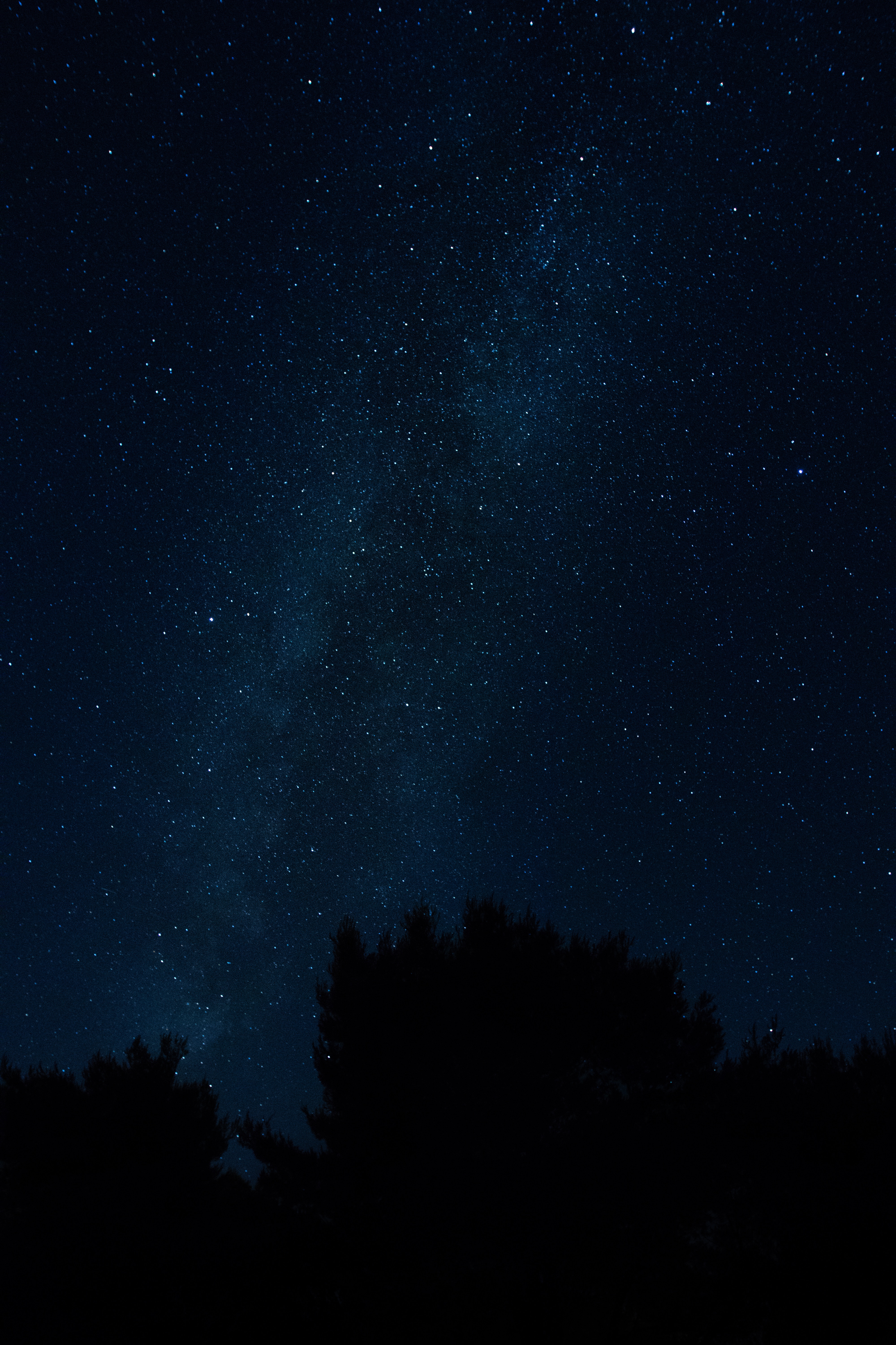 Download mobile wallpaper Dark, Trees, Stars, Night, Starry Sky, Night Landscape, Nightscape for free.