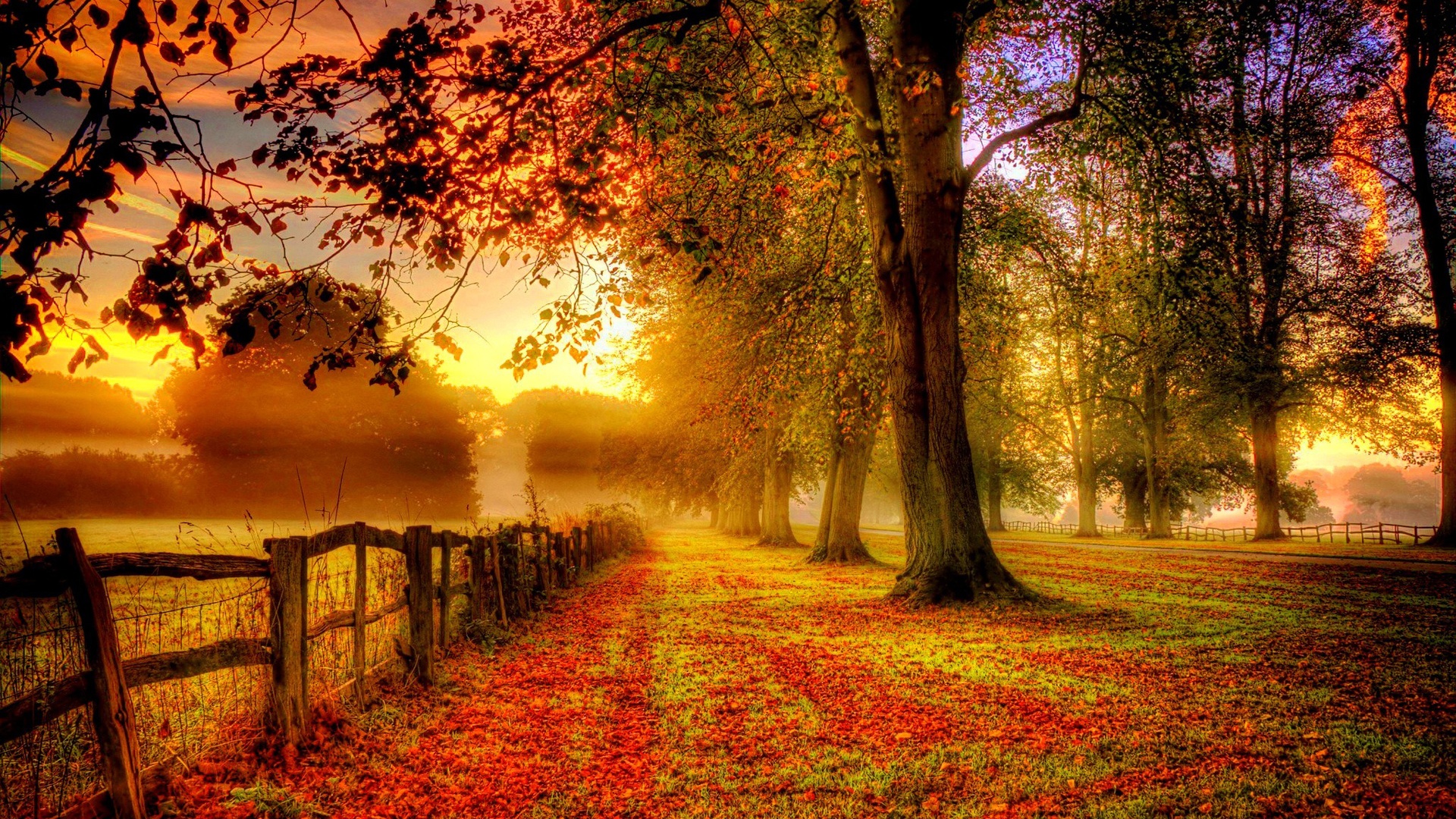 hdr, photography, fall, fence HD wallpaper