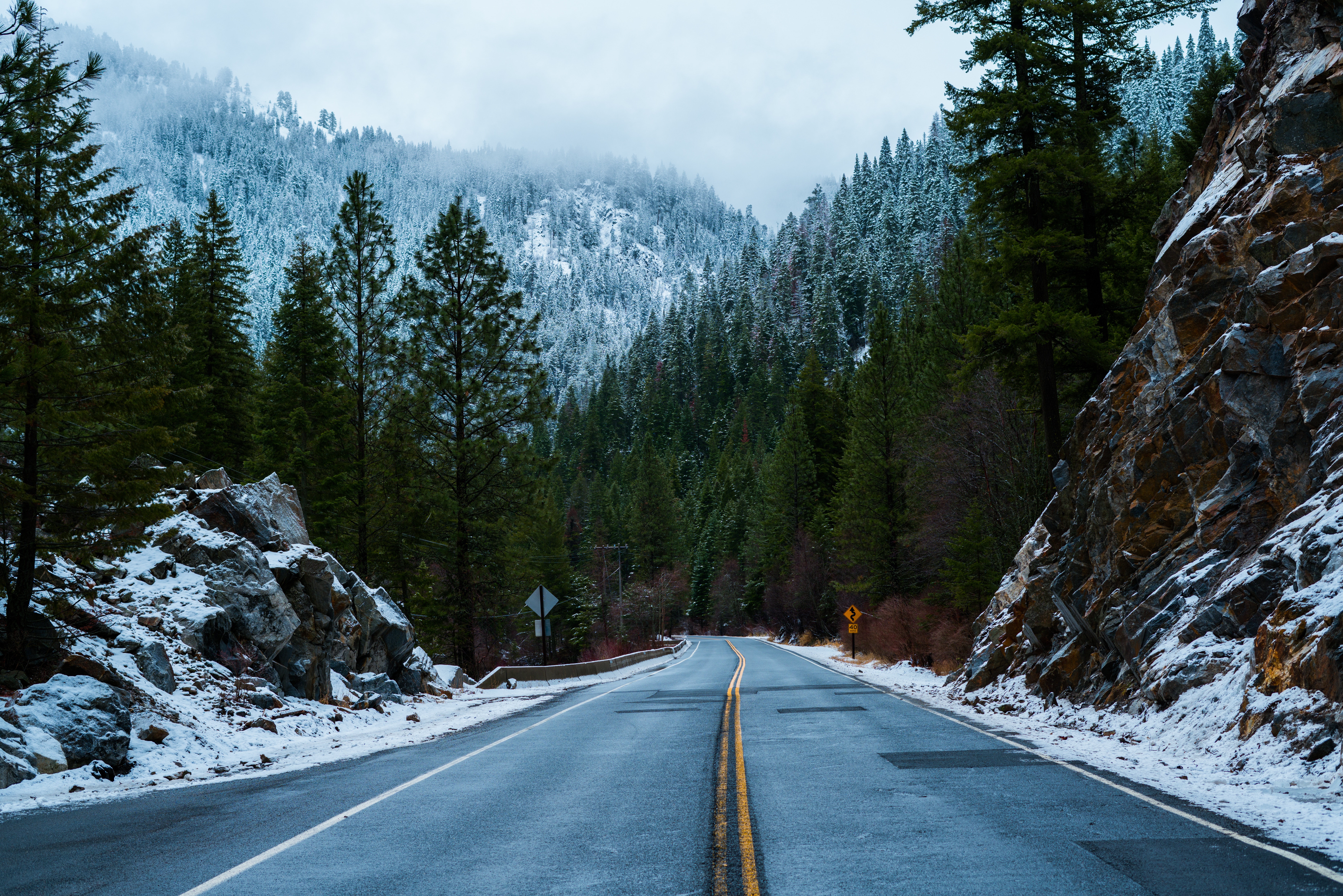 nature, forest, snow, road home screen for smartphone