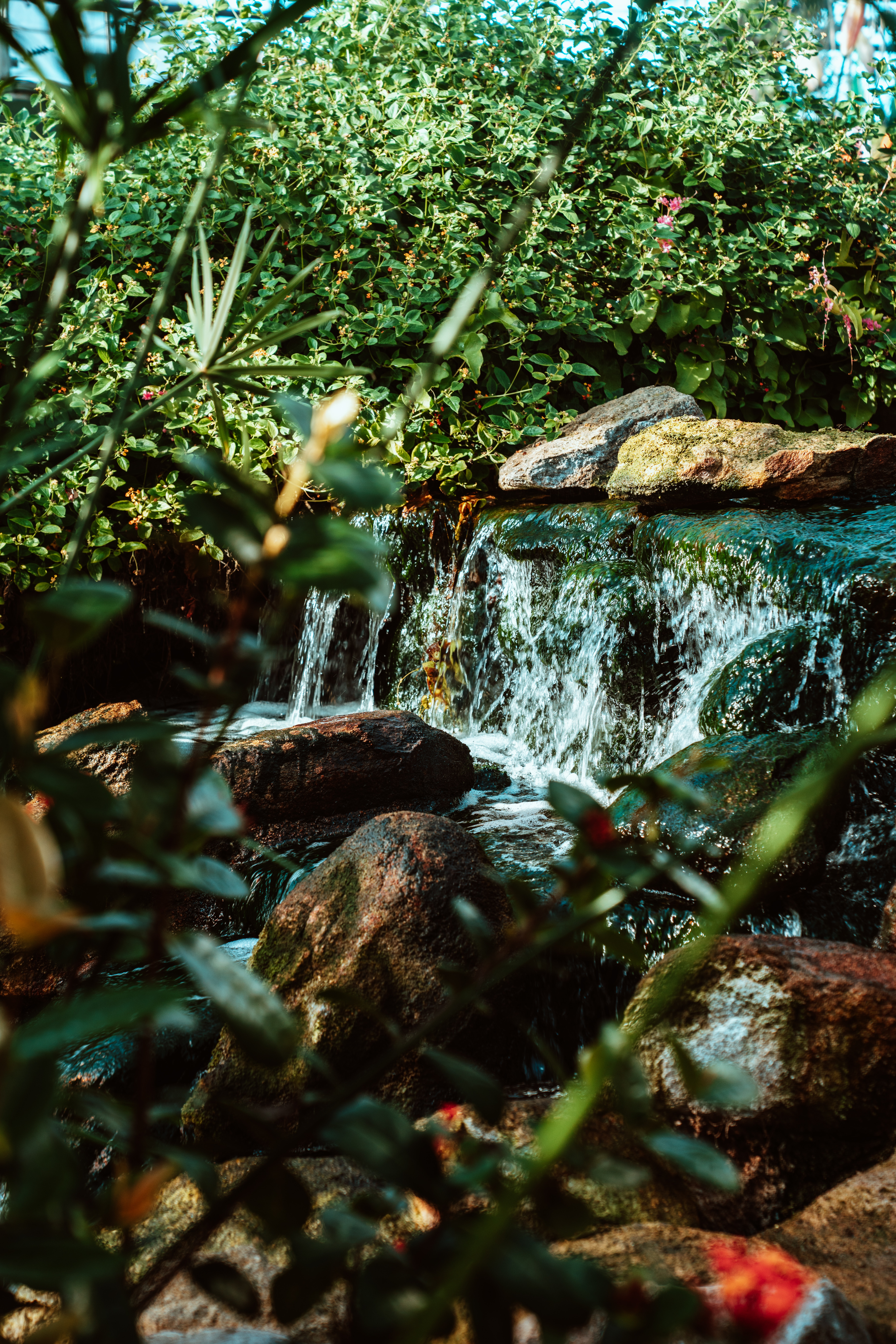 Laden Sie das Natur, Wasser, Flüsse, Stones, Bush, Wasserfall-Bild kostenlos auf Ihren PC-Desktop herunter