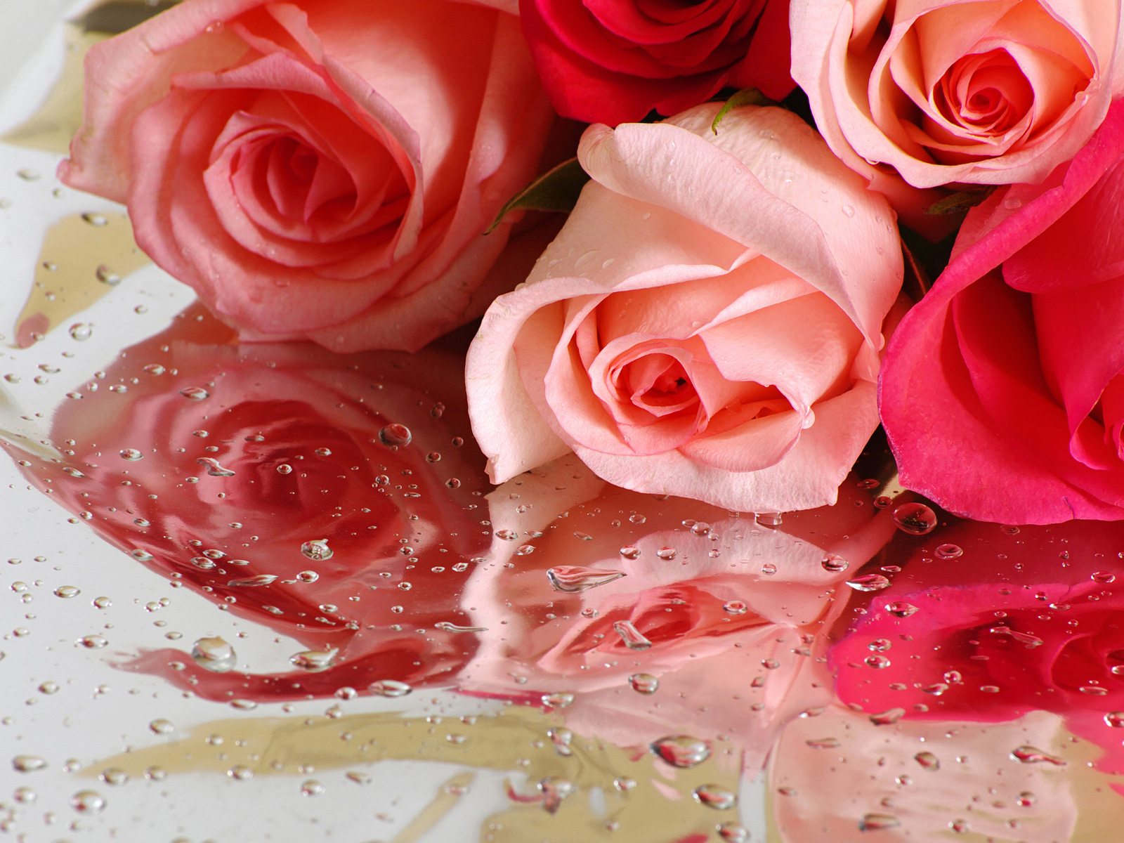 Laden Sie das Pflanzen, Blumen, Roses, Bouquets, Drops-Bild kostenlos auf Ihren PC-Desktop herunter