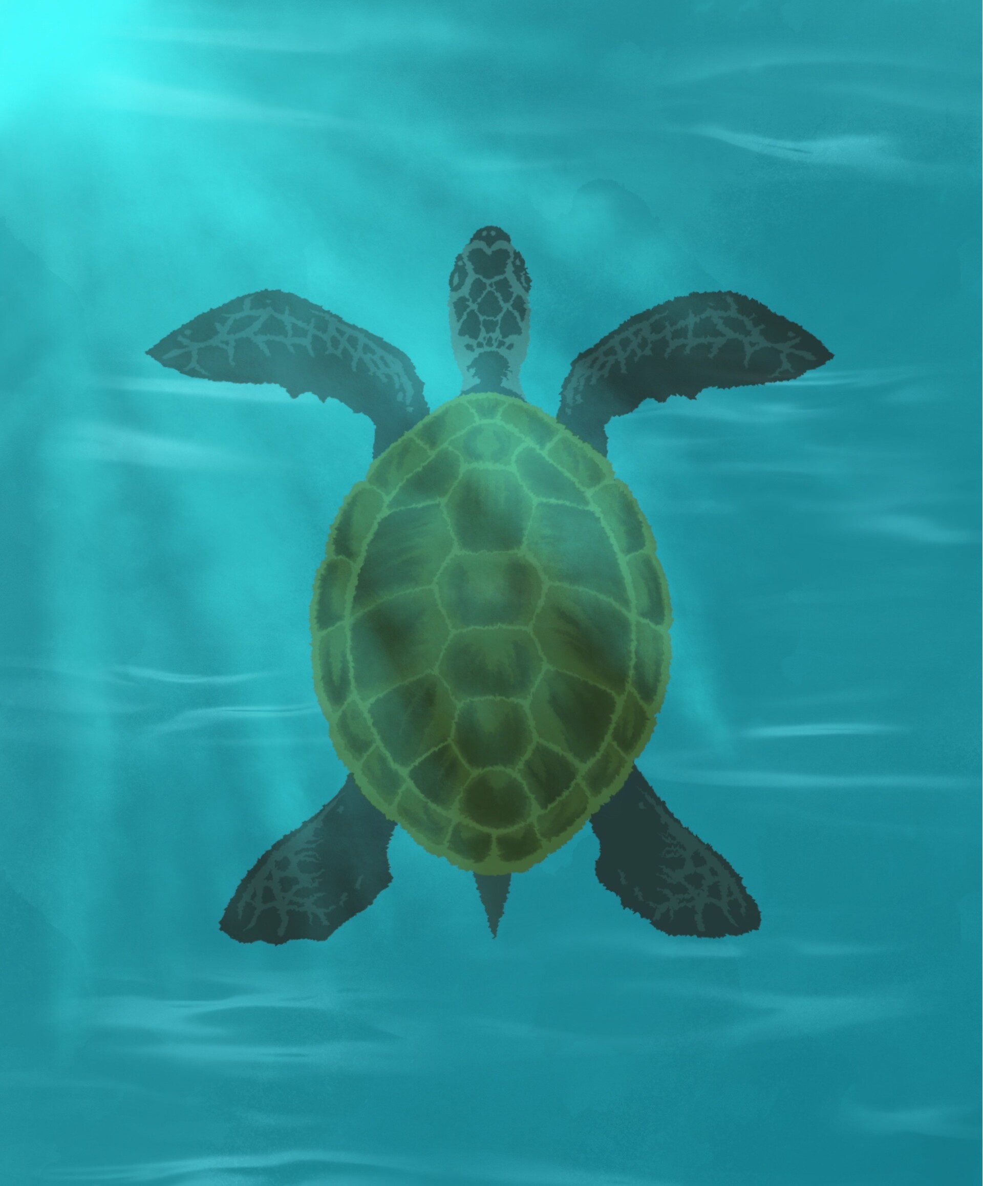 HD wallpaper turtle, water, art, glare, carapace, shell
