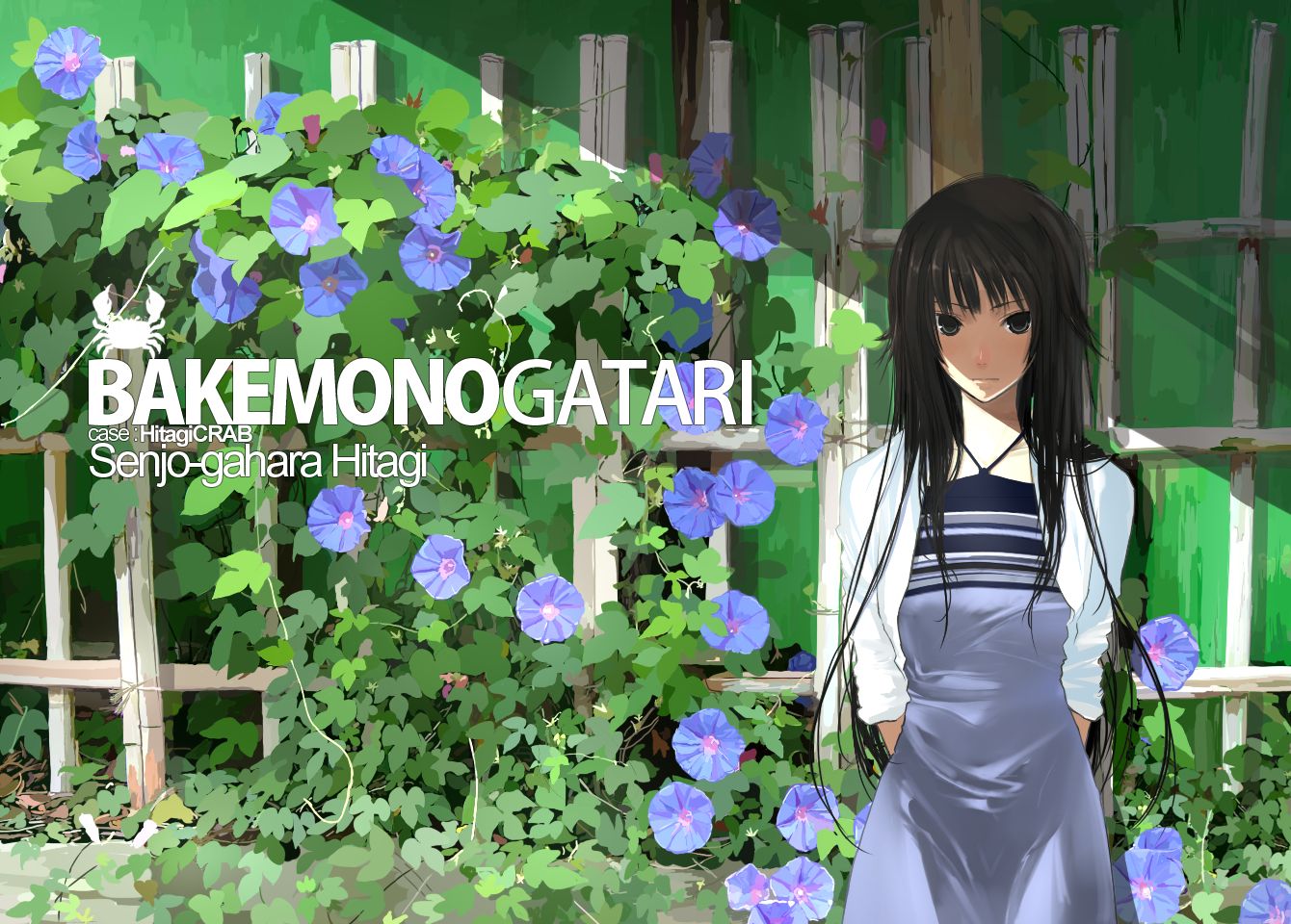 anime, monogatari (series), bakemonogatari, black hair, hitagi senjōgahara