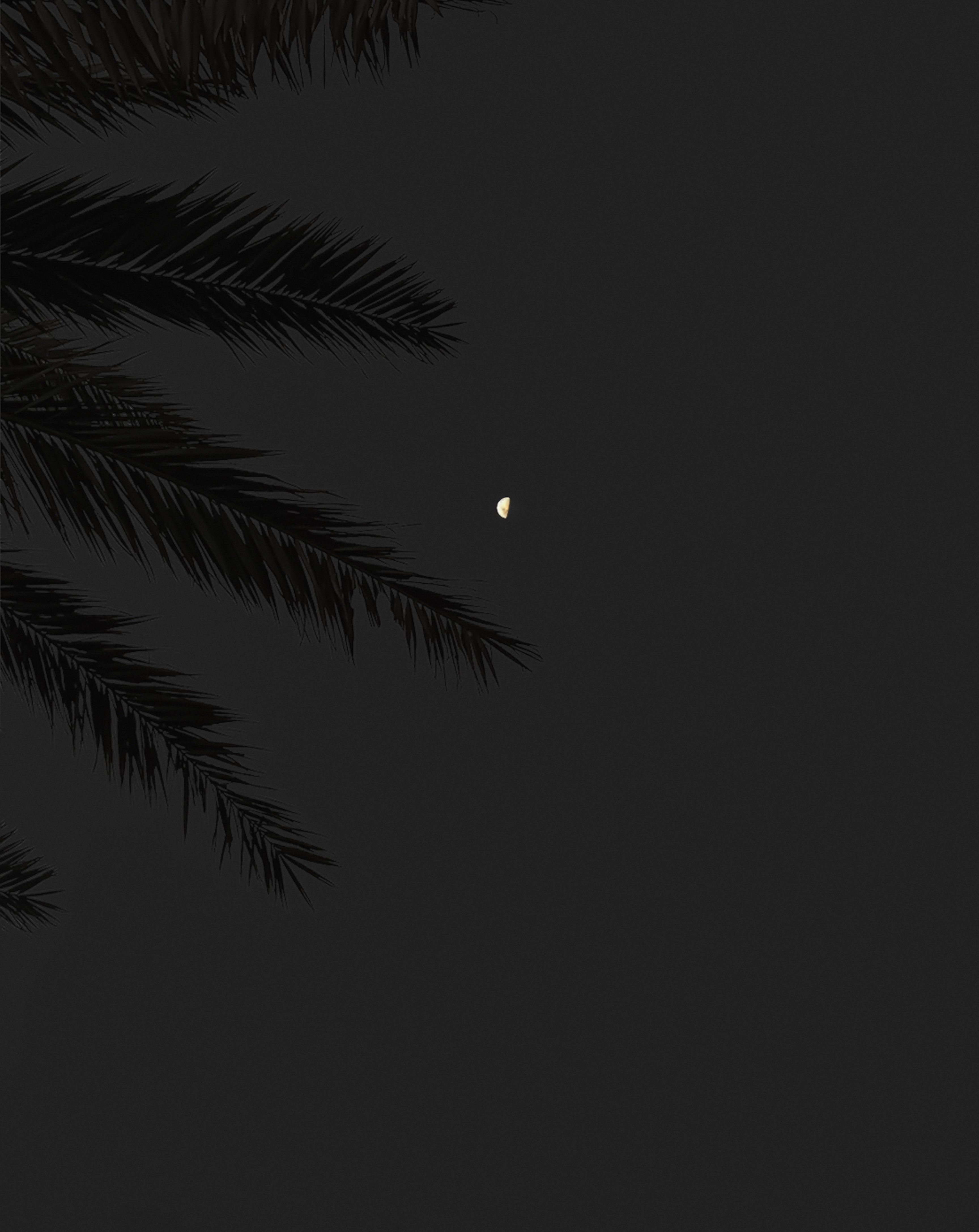 iPhone background night, sky, black, full moon