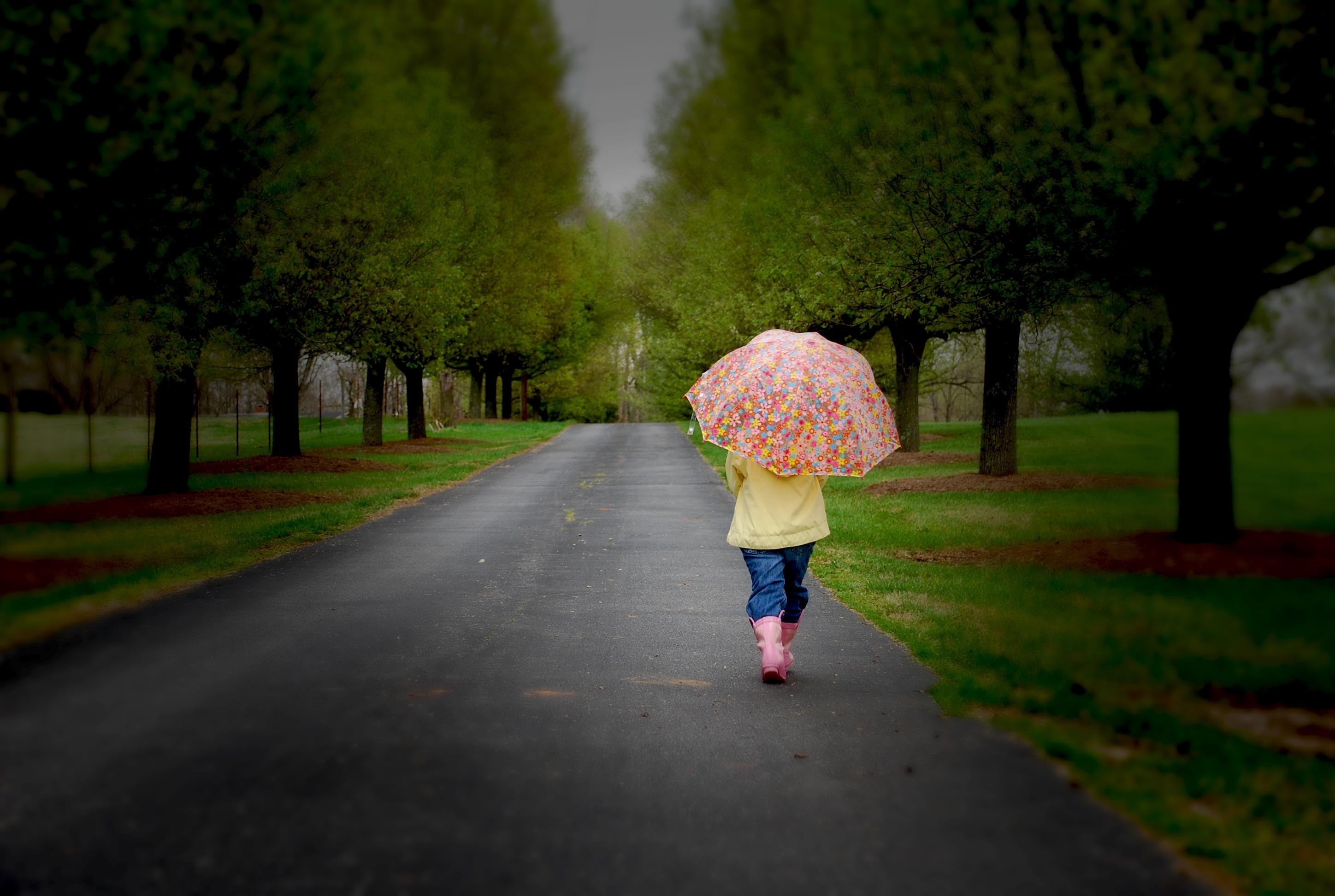 park, wood, miscellanea, miscellaneous, road, tree, stroll, overcast, mainly cloudy, umbrella HD wallpaper