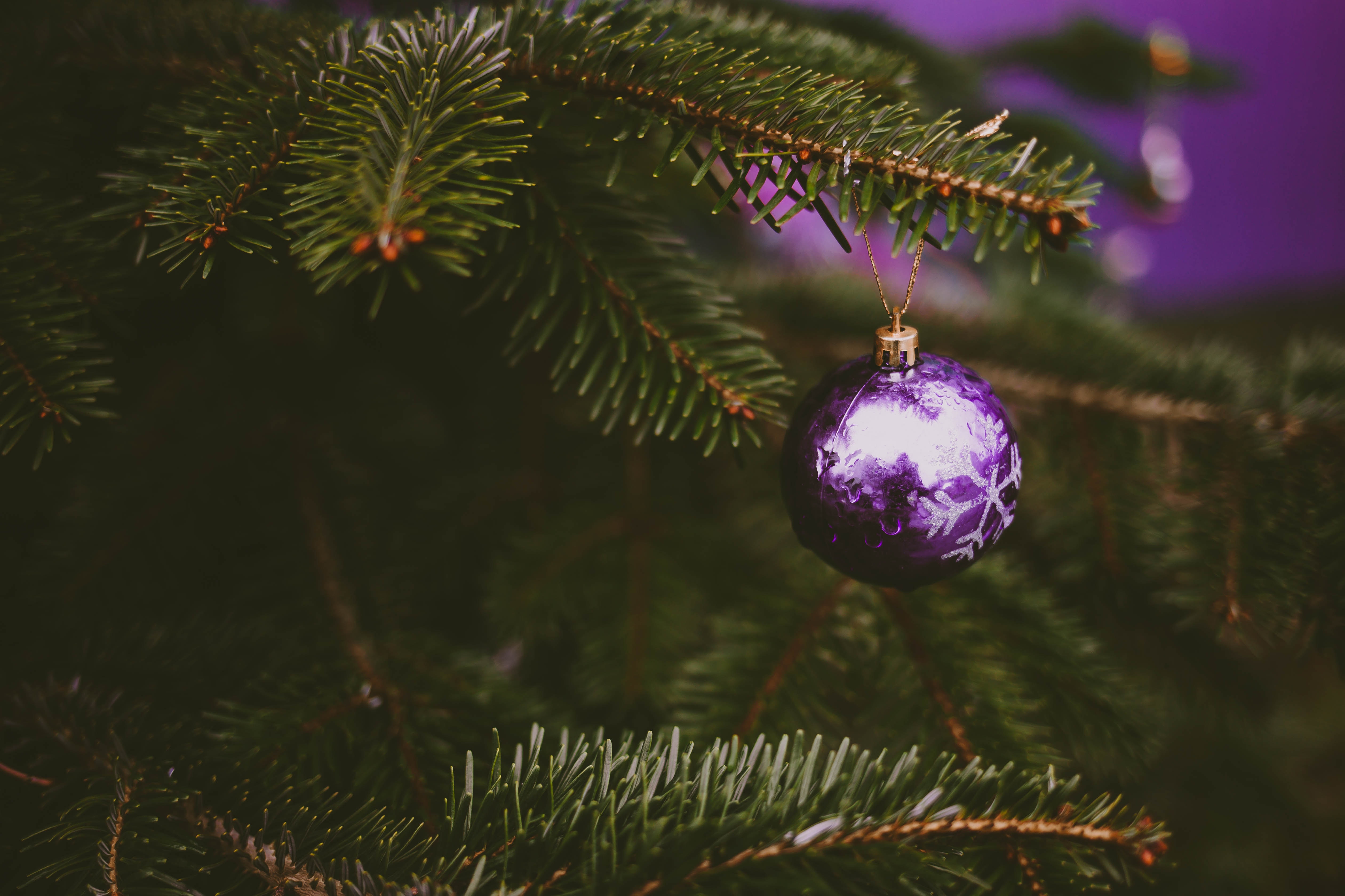 4K, FHD, UHD purple, ball, christmas tree, holidays