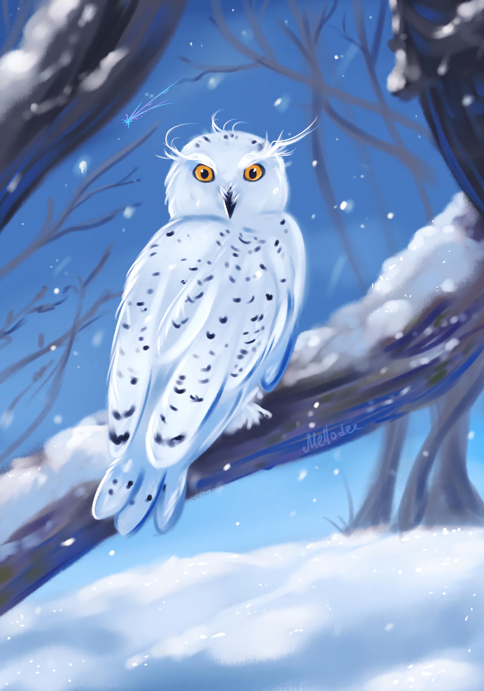 owl, white, winter, art, bird HD wallpaper