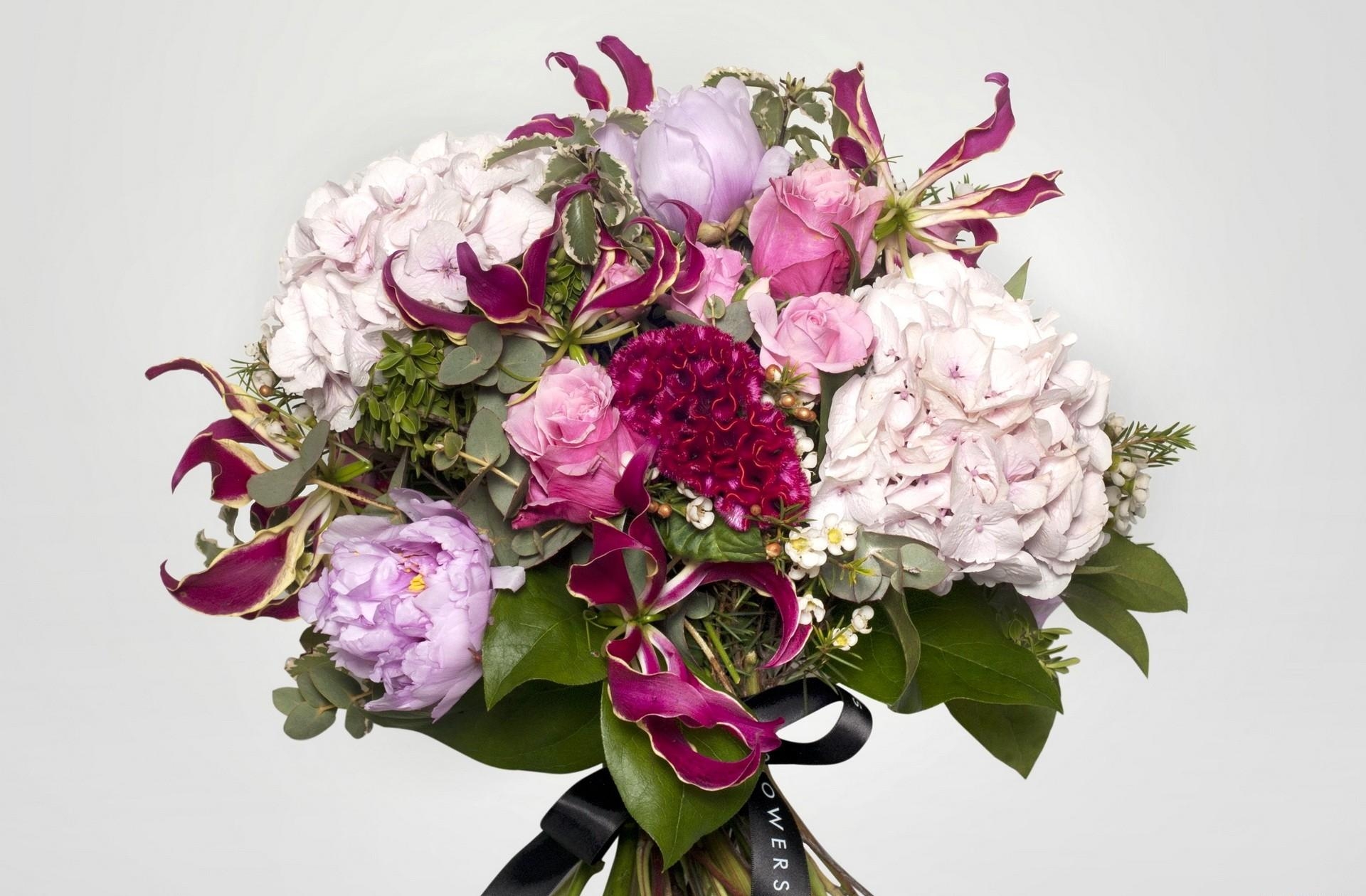 Laden Sie das Blumen, Roses, Pfingstrosen, Strauß, Bouquet, Hortensien-Bild kostenlos auf Ihren PC-Desktop herunter