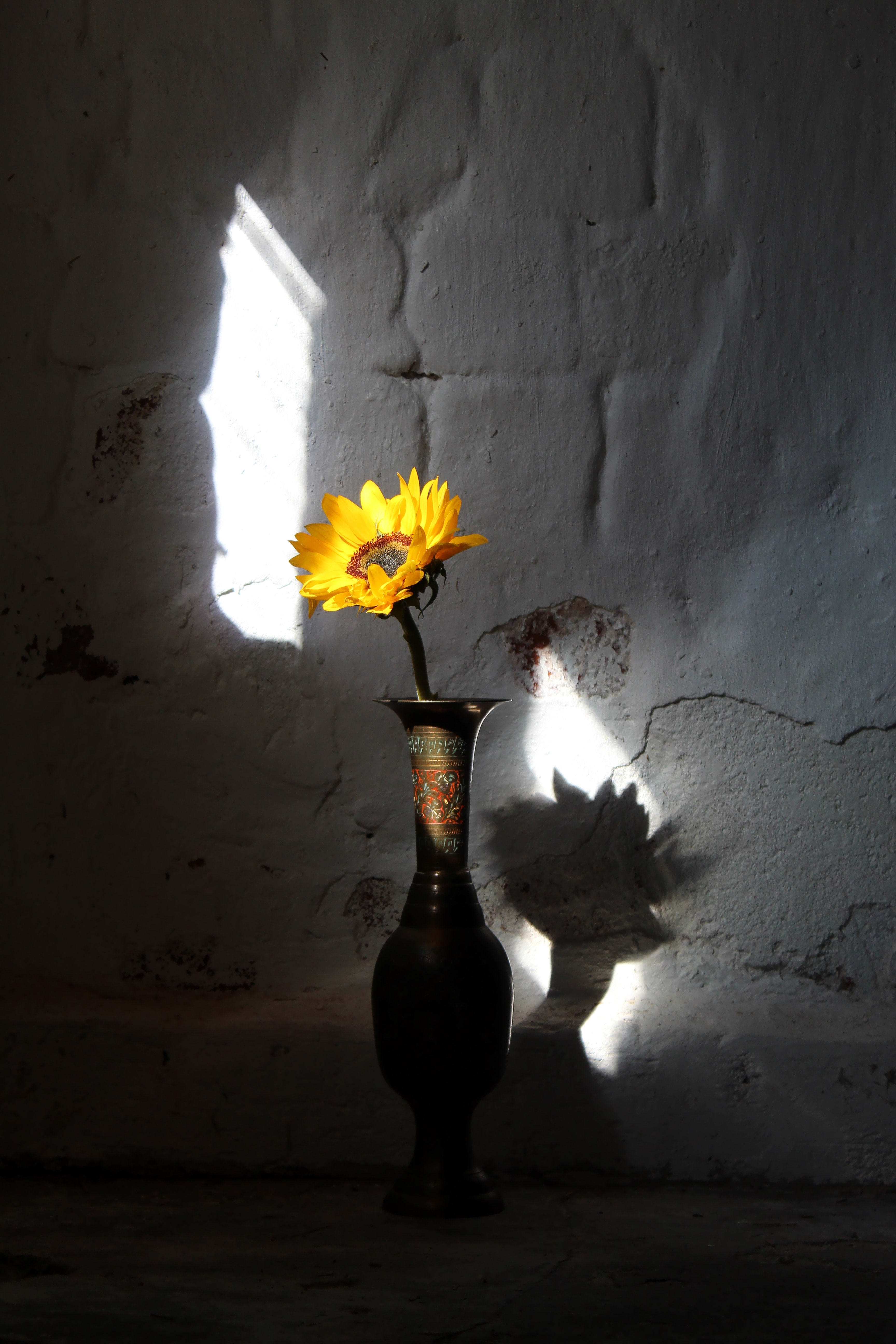 rays, vase, flower, sunflower, flowers, beams, wall 32K