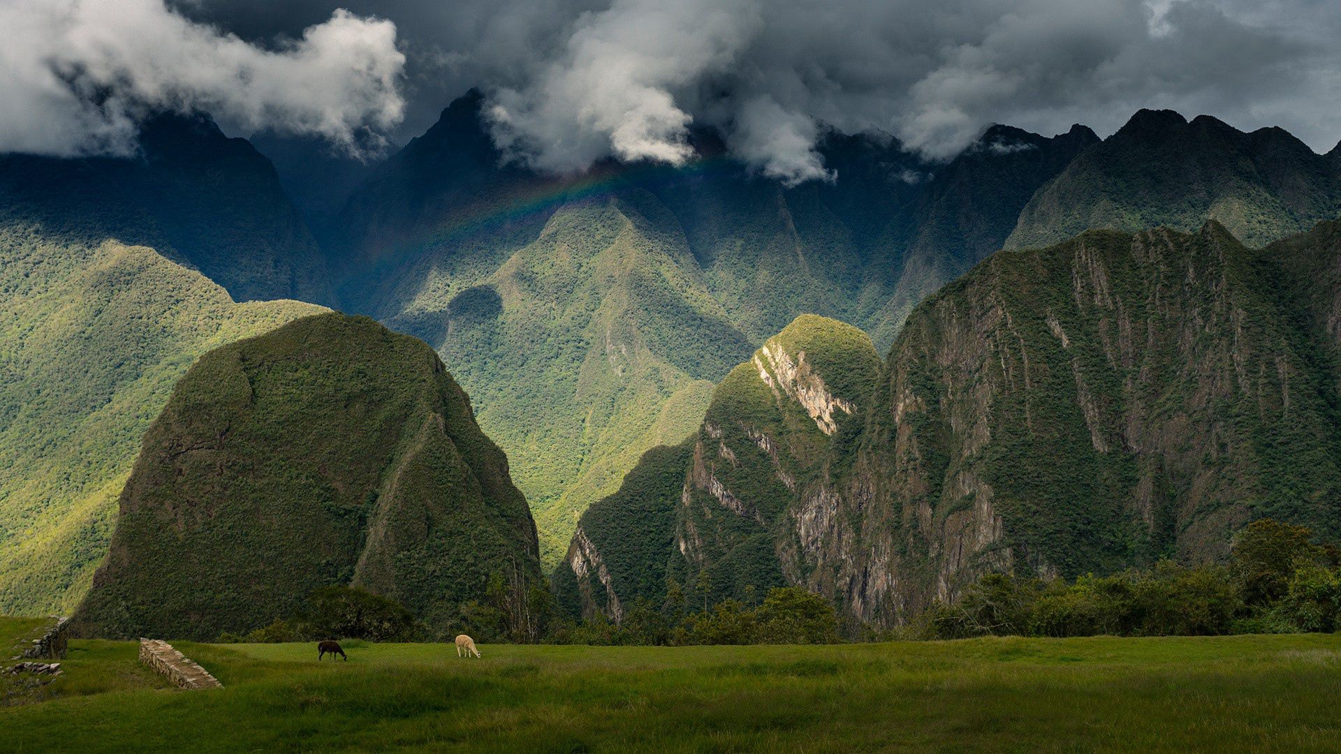 Die besten Machu Picchu-Hintergründe für den Telefonbildschirm