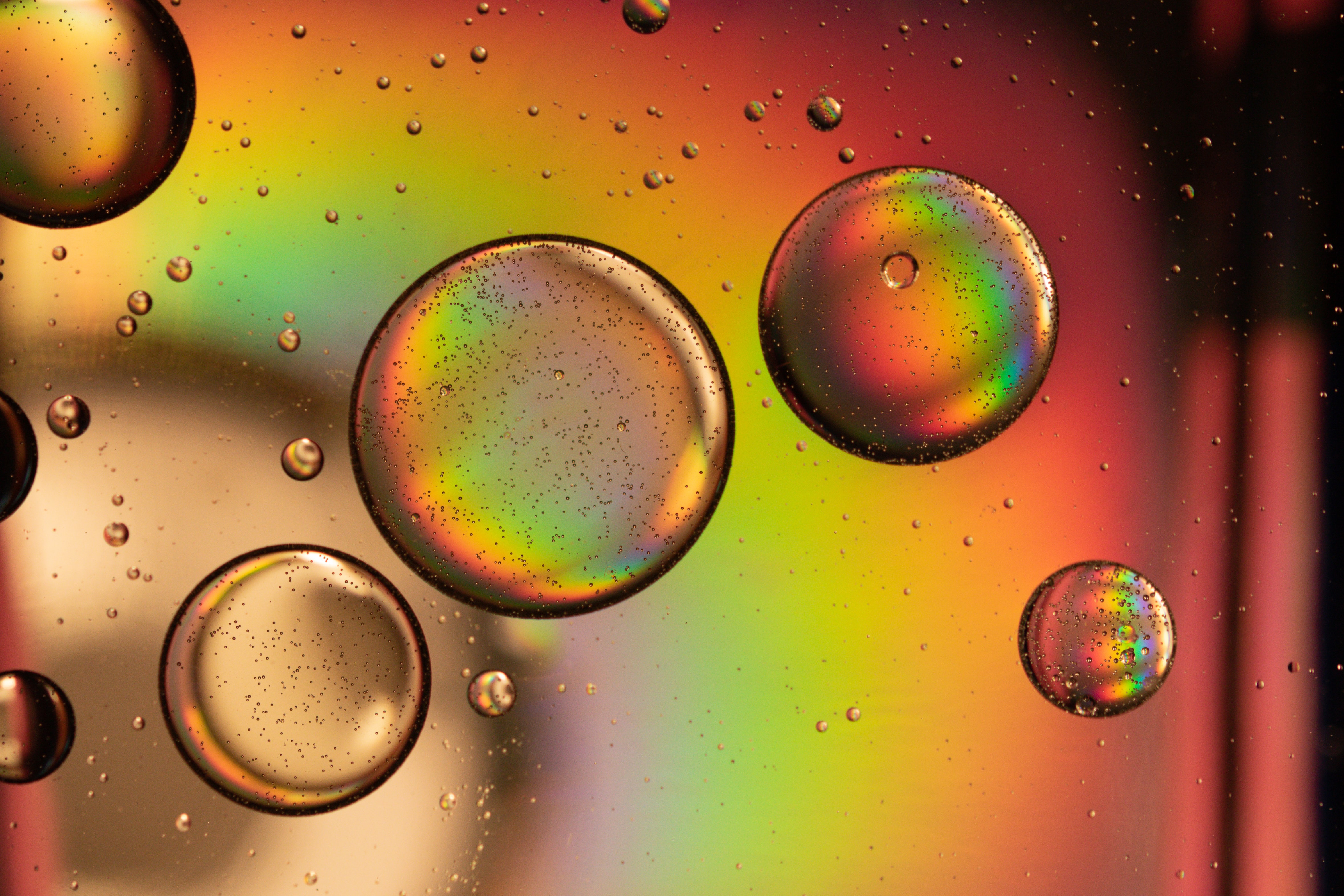 Laden Sie das Regenbogen, Abstrakt, Drops, Ball, Schillernden, Blase-Bild kostenlos auf Ihren PC-Desktop herunter